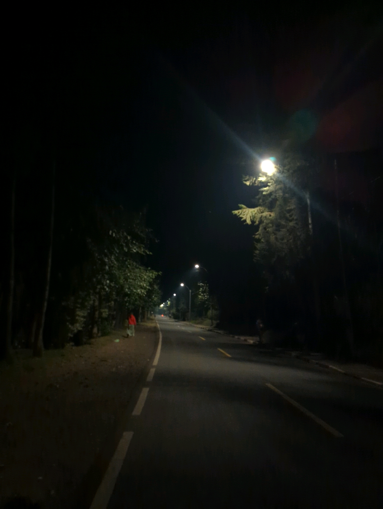 The image depicts a street scene at night in Musanze District, Rwanda. A paved road with white dashed lines runs through the center of the frame, curving slightly to the right and disappearing into the darkness. The road is illuminated by streetlights positioned along its sides. On the left side of the road, a dirt path runs alongside a dense line of trees. A person wearing a red garment is visible on this path, walking away from the camera. Further down the road, more trees and streetlights are present. The overall atmosphere is dark and quiet, typical of a rural or suburban street at night.