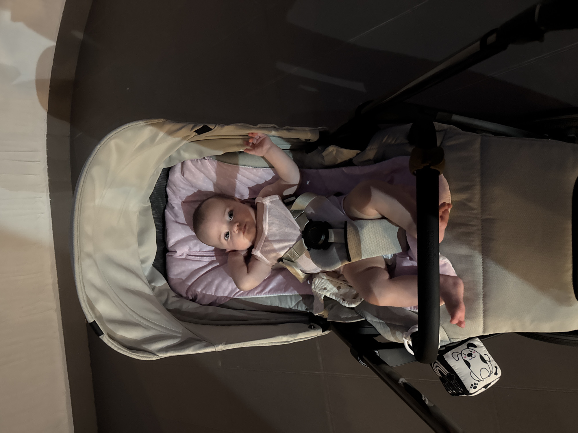 An overhead shot shows a baby girl lying in a stroller. The baby is wearing a light pink onesie and a light pink bib. She has a safety harness on. The stroller has a beige canopy and a grey seat with a pink liner. A black and white toy cube with a dog on it is attached to the stroller. The scene is lit by artificial light, casting shadows on the dark tiled floor. The image appears to have been taken indoors in a modern setting, possibly a home or a commercial space, with no immediate identifying features of Capaci, Italy, visible.
