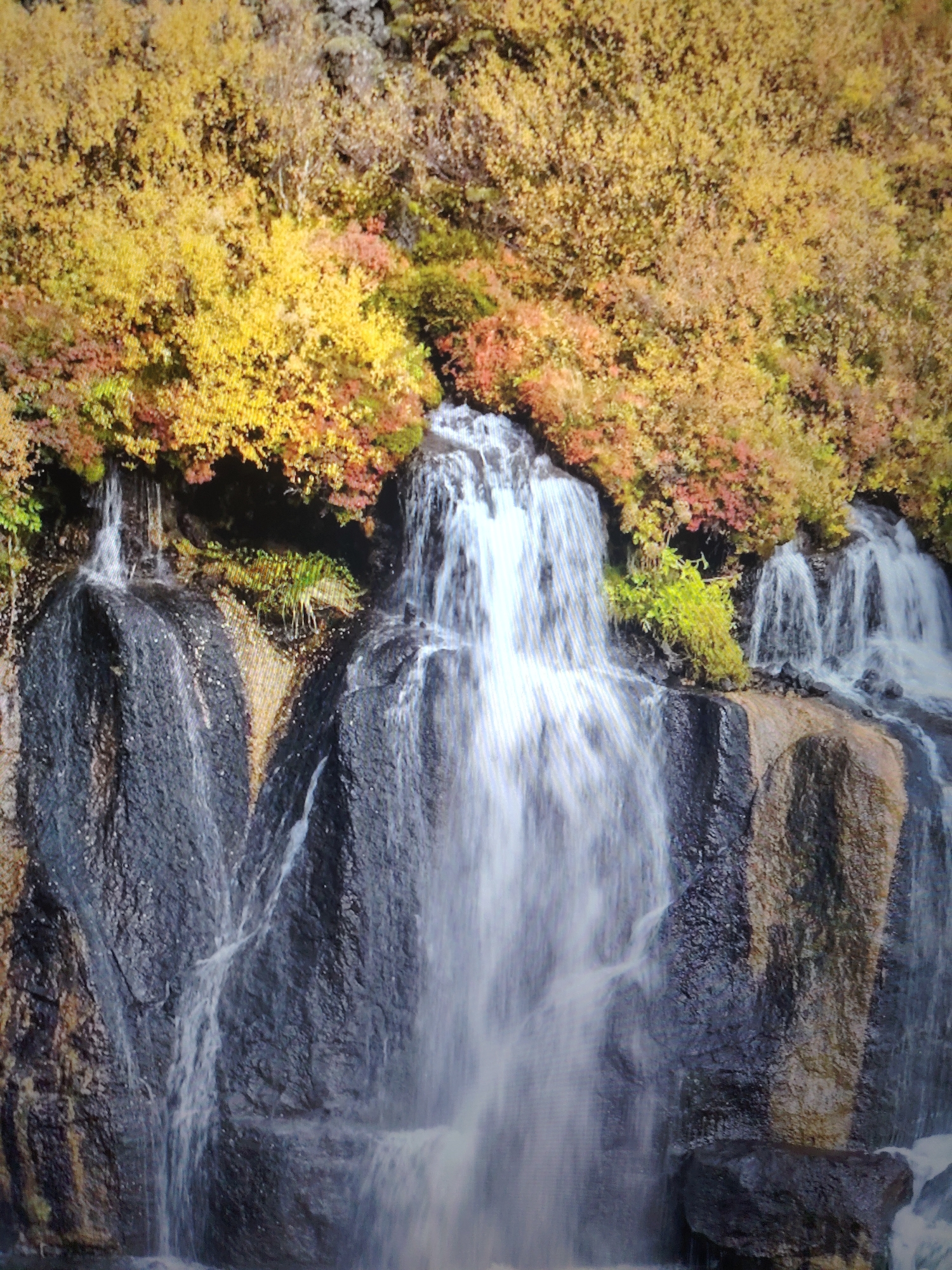 The image shows a waterfall cascading over dark rocks, with autumn foliage in shades of yellow, orange, and red above. The water appears blurred due to a long exposure. The location is Unknown, Unknown.