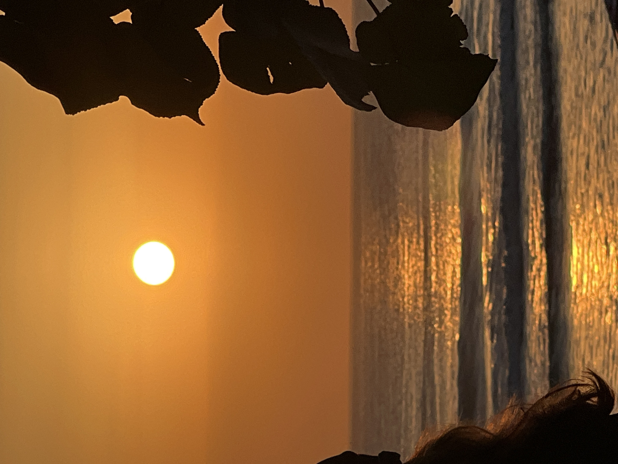 This is a photograph taken at sunset in Kuta, Indonesia. The sun, a bright white orb, is positioned in the upper left quadrant of the frame, casting a warm orange glow across the sky. In the foreground, silhouetted against the sunset, are the dark shapes of foliage and a portion of a person's hair. The ocean stretches across the middle of the image, with gentle waves reflecting the golden light of the setting sun. The scene captures a serene moment by the sea.
