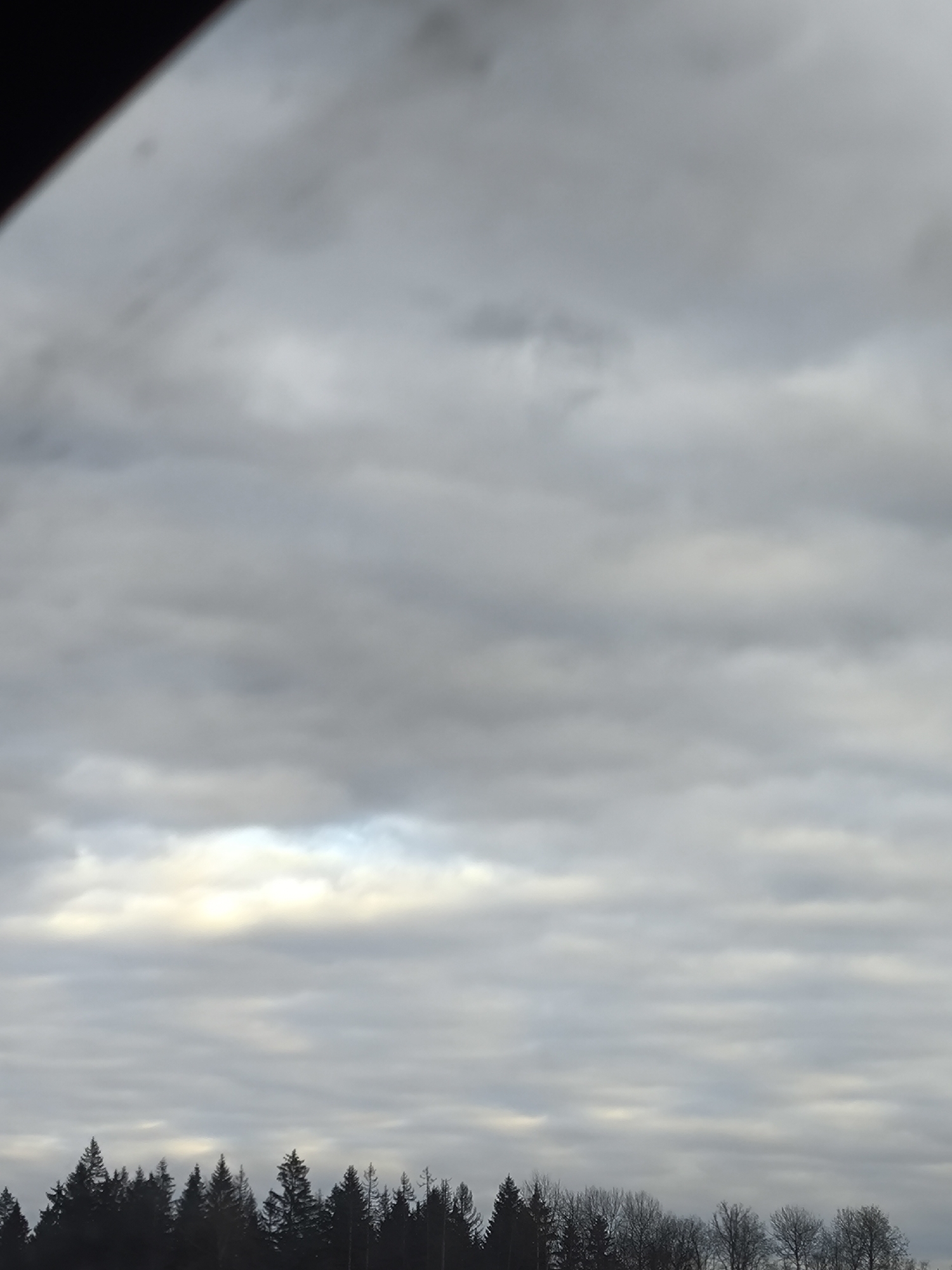 The image shows a view of a dark forest against an overcast sky. The sky is filled with layers of gray clouds, with a slight break near the horizon line allowing for some light. The treeline is dark, with silhouettes of various trees of different heights visible. The top left corner of the image contains a blurred dark area. The location in the city of Kapan', Russia, is not discernible from the image alone.