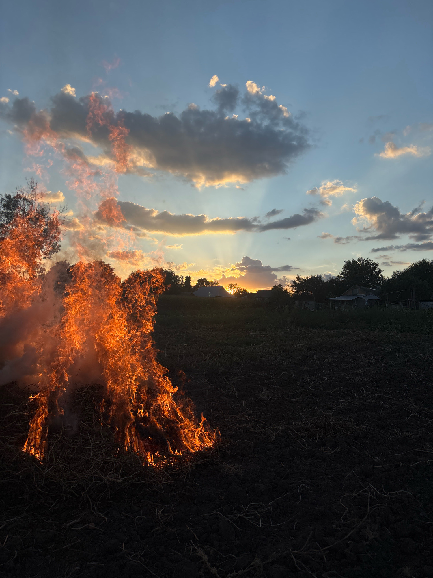 The image depicts an outdoor scene at dusk, with a bonfire actively burning in the foreground. The fire, composed of dried vegetation and emitting smoke, is the primary subject on the left side of the frame. The ground appears to be tilled earth, with sparse dry plant matter visible. In the background, silhouetted trees and a few rustic buildings are discernible against a sky painted with hues of orange, yellow, and blue from the setting sun. The clouds are illuminated by the sun's rays, creating a dramatic effect. The location is identified as Kniazha Krynytsia, Ukraine. No people are visible in the image.