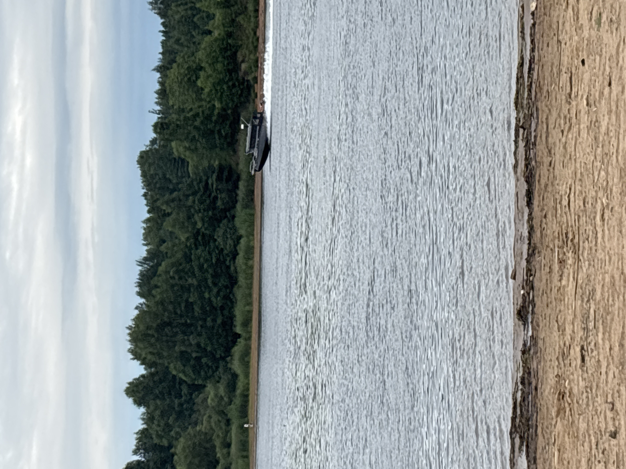 A dark-colored motorboat speeds across a wide, calm body of water, leaving a white wake behind it. The boat is positioned in the middle-right of the frame. In the background, a dense line of green trees borders the water, with a slightly hazy sky overhead. The foreground features a sandy beach with some scattered debris. There is a solitary figure standing on the shore near the treeline on the left side of the image. The scene appears to be a natural outdoor setting.
