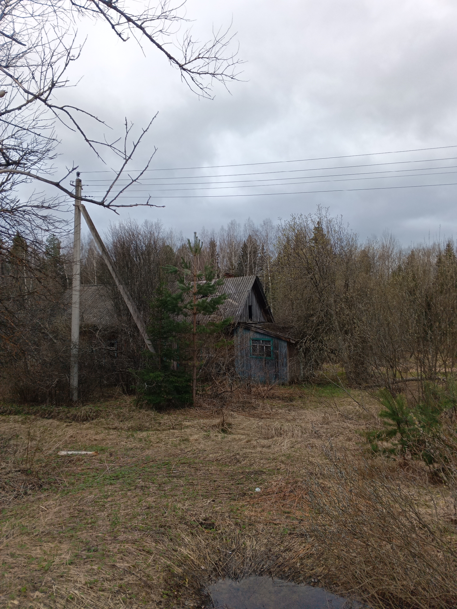 The image depicts a derelict, weathered wooden structure in Красный Маяк, Russia, largely obscured by overgrown vegetation. The structure has a steeply pitched, decaying gray roof and faded blue siding with a green window frame. A concrete utility pole is visible to the left of the structure, with overhead power lines stretching across the sky. The foreground consists of dry, brown grass and scattered shrubs, with a small body of water or puddle partially visible at the bottom edge of the frame. The sky is overcast, indicating a cloudy day. No people or animals are visible in the scene.