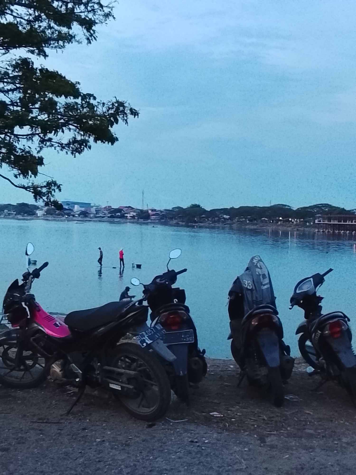 A body of water, possibly a lake or bay, fills the middle ground of the image, reflecting the pale blue sky. The shoreline on the far side features a line of buildings and trees. In the foreground, three motorcycles are parked on a gravelly area. One motorcycle on the left is bright pink and black, while the other two are dark blue or black. In the water, three figures are visible. Two men appear to be standing in the shallow water, one wearing a red shirt and the other a darker shirt. A third person is seated near the edge of the water, in front of the motorcycles. A large tree branch extends into the frame from the upper left corner, partially obscuring the sky. The scene appears to be set in the late afternoon or early evening.