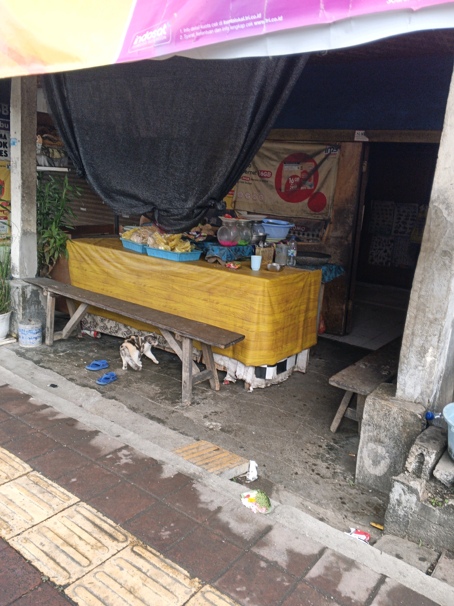 In Denpasar, Indonesia, a street-side stall displays goods under a yellow tarp. A cat rummages near a wooden bench, while blue flip-flops lie on the wet ground. The stall appears to sell snacks and drinks, with various containers and packaging visible. A poster advertising telecommunication services hangs in the background. The scene is likely in a busy area, given the presence of a sidewalk and what appears to be a main road.