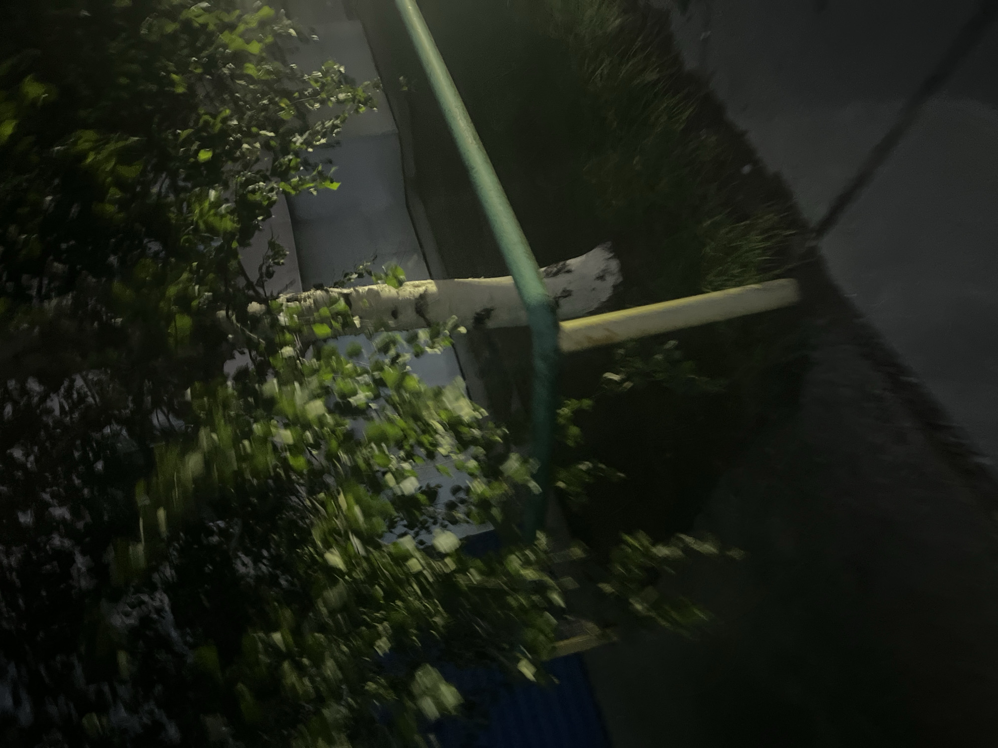 The image shows a birch tree with green leaves and a white trunk, leaning to the left. A green metal pipe runs diagonally across the frame from right to left, supported by a yellow pole. The background appears to be a building with a dark wall. The scene is dimly lit, suggesting it is nighttime or very early morning. This image was taken on August 17, 2023, at 00:21:32 in Surgut, Russia.