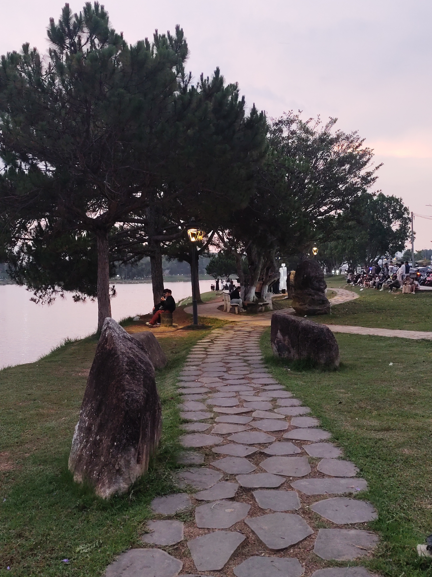 The image depicts an evening scene by a lake in Da Lat, Vietnam, characterized by a tranquil atmosphere as dusk settles. A winding pathway, paved with irregular gray stone slabs, forms the central focus, leading into the distance. This path is bordered by lush green grass on both sides, which gently slopes down to the calm waters of a lake on the left.
Tall evergreen trees, possibly pines, densely line the lake's edge and flank the pathway, their dark foliage silhouetted against the pale, twilight sky which exhibits soft pink and light purple hues. Several large, dark boulders are strategically placed alongside the path.
One individual is seated on a low structure under a tree by the lake on the left side of the path, near a street lamp that casts a warm, golden glow. This person wears a dark top, reddish-brown pants, and white-soled shoes, appearing to be in a moment of quiet contemplation. Further along the path on the right, a larger group of people is gathered on the grassy area, some sitting and others standing, suggesting a social gathering. In the distance, across the lake, other figures and vehicles are faintly visible. The scene evokes a sense of peace and leisure, typical of an evening stroll or relaxation in a scenic park. There is no visible text in the image.