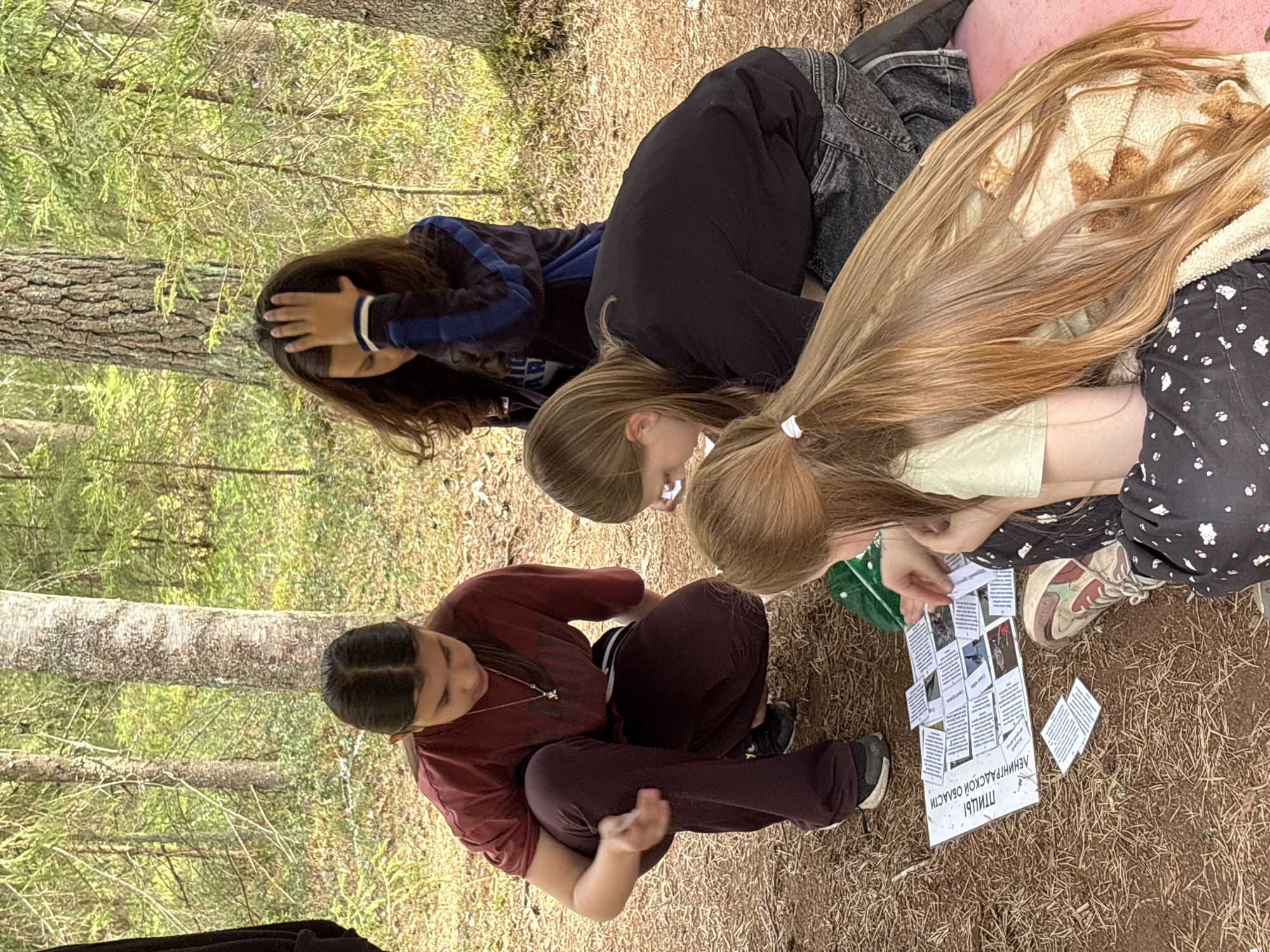 Four young women are huddled together on the ground in a wooded area, likely engaging in an educational activity. The location is speculated to be within the region of Unknown, Russia, based on the Cyrillic text on a document nearby. The environment is characterized by the presence of trees, fallen leaves, and dirt on the ground. One of the women appears to be touching her forehead, perhaps indicating fatigue or concentration. The others are focused on a collection of cards or papers laid out on the ground. The Cyrillic text on the document reads "Птицы Ленинградской области", which translates to "Birds of Leningrad Oblast".