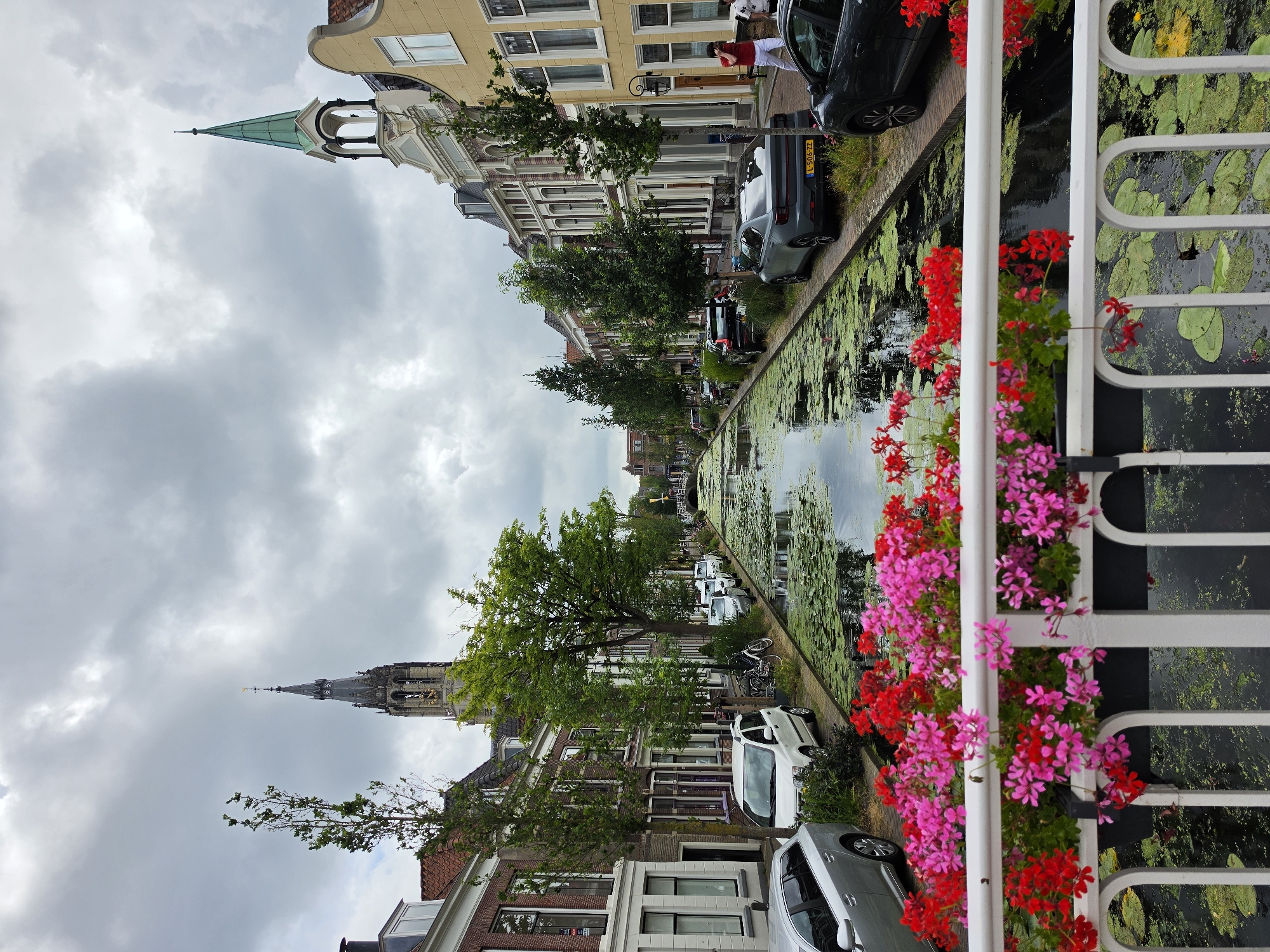 This image captures a canal in the city of Delft, Netherlands, on an overcast day. A white railing with planters filled with red and pink flowers in the foreground overlooks the murky water. Lily pads and other aquatic vegetation cover the surface of the canal.
Along the left bank of the canal are brick buildings with white trim and red-tiled roofs, some featuring large windows. Trees line the sidewalk in front of these buildings. Parked cars, including a silver station wagon and a white compact car, are visible along this side.
On the right bank, a row of colorful buildings with white architectural details and large windows continues. A man in a red shirt and white pants walks away from the camera, while another person, partially obscured, stands nearby. Trees also line this side of the canal.
In the distance, a prominent church tower with a dark spire and a clock is visible. Further down the canal, a white arched bridge spans the waterway. The sky is filled with heavy, gray clouds. The scene is tranquil and suggests a typical day in a historic European city.