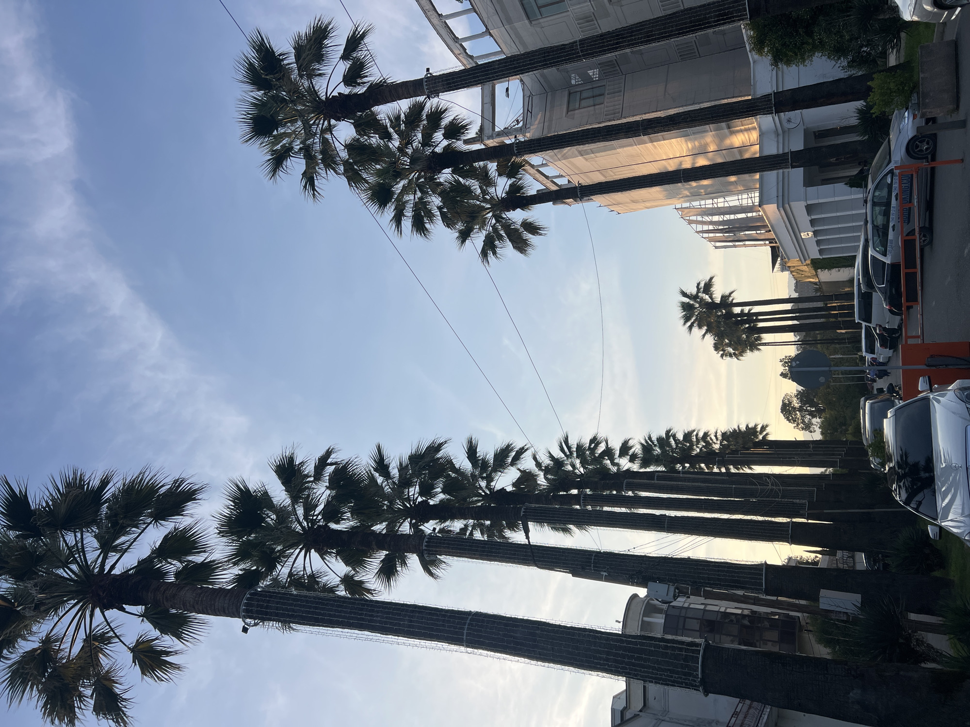 In the city of Unknown, Unknown, a street lined with tall palm trees stretches towards the horizon. The trees, some adorned with string lights, cast shadows on the pavement. Several cars are parked along the street, including a white Mercedes-Benz and a silver Ford Focus. Buildings, some appearing to be under construction with scaffolding, flank the road. The sky is a soft blue with wispy clouds, suggesting either early morning or late afternoon light. The overall atmosphere is calm and somewhat serene.