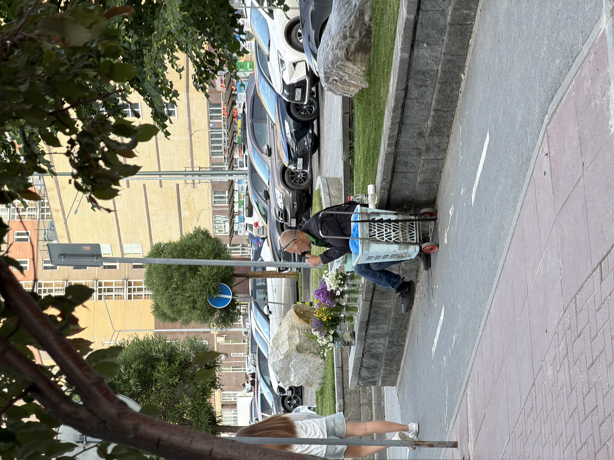 This image captures a bright daylight scene in Tyumen, Russia, depicting a man engaged in outdoor sales. In the mid-ground, a bald man wearing glasses, a dark jacket, and blue jeans is kneeling beside a metal shopping cart with red wheels. He is arranging bouquets of white, purple, and yellow flowers, which are displayed in glass vases on a low, stone-faced planter or ledge. A large, light-colored, irregularly shaped rock also sits on this ledge. A clear plastic bottle is visible near his cart.
In the lower foreground, partially obscured by tree branches, a woman with long brown hair, wearing a white top and light-colored shorts, is visible from the waist down, standing on a paved walkway.
Behind the man and the planter, a strip of grass separates the area from a street where several cars of different makes and colors are parked. In the background, multiple multi-story buildings with numerous windows rise, indicating an urban or residential setting. Green foliage from trees is prominent, framing parts of the scene from the foreground and appearing near the buildings. A blue circular traffic sign with a white arrow (likely indicating mandatory direction) is visible near the parked cars. The ground features both smooth gray pavement and reddish-brown brick-patterned tiles.