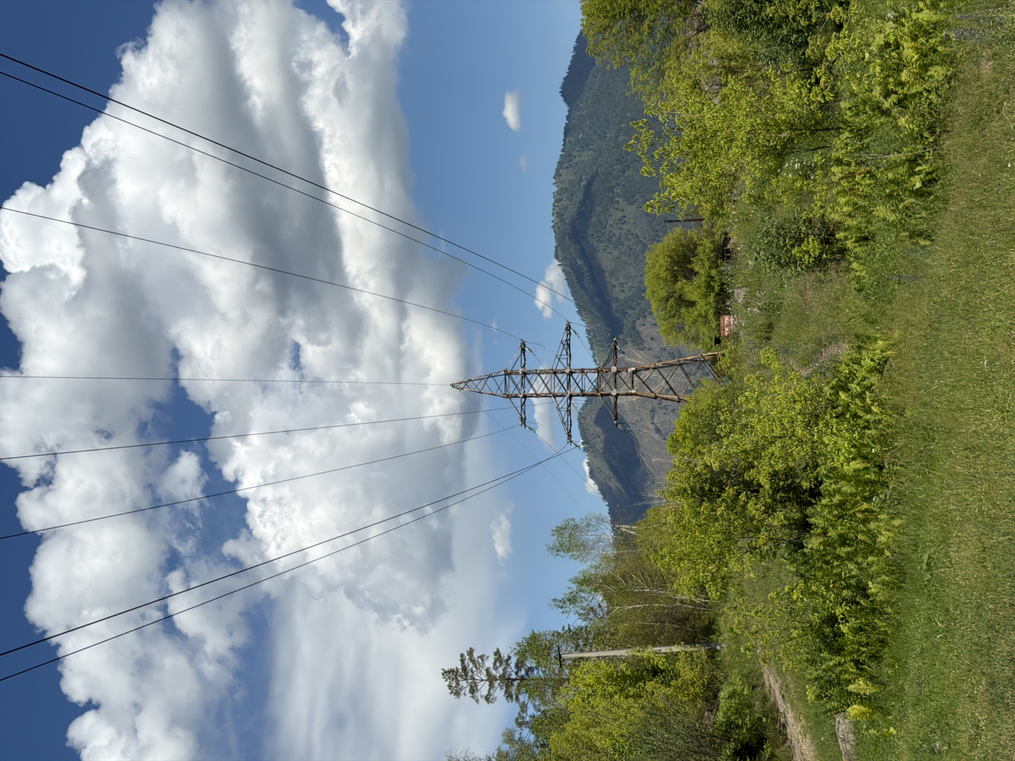 The image depicts a rural landscape in Anos, Russia, dominated by a large electricity pylon in the mid-ground. The pylon, made of lattice metal, supports multiple power lines that stretch across the frame towards the top. In the background, a lush, tree-covered mountain range under a bright blue sky with scattered white clouds provides a scenic backdrop. The foreground is characterized by a dirt path winding through tall green grass and dense foliage, with ferns and various trees adding to the natural scenery. The overall impression is one of a remote, natural environment with evidence of infrastructure.