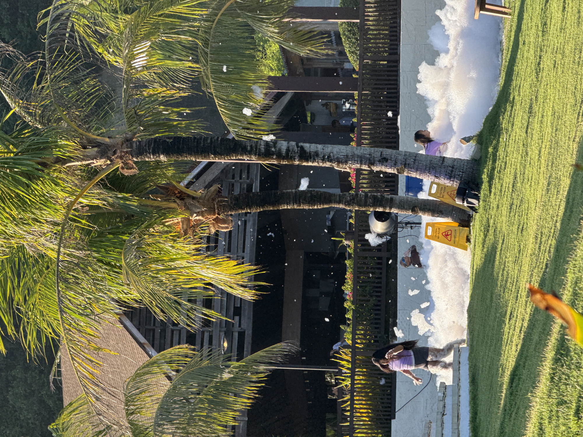 The image depicts an outdoor scene in Kuta Selatan, Indonesia, featuring a palm tree in the foreground and several individuals interacting with a foam or soap bubble-like substance on a paved surface adjacent to a grassy area.
The paved area is partially covered with the foamy substance. Two people, dressed in casual attire, are either standing in or interacting with the foam. A yellow "Caution Wet Floor" sign is visible near the edge of the paved area, suggesting potential hazards associated with the wet surface. A bin or receptacle is located near the foam-generating equipment.
The background features a building or structure with wooden details and green foliage, suggesting a tropical resort or residential setting. The lighting indicates it is daytime with sunlight casting shadows.