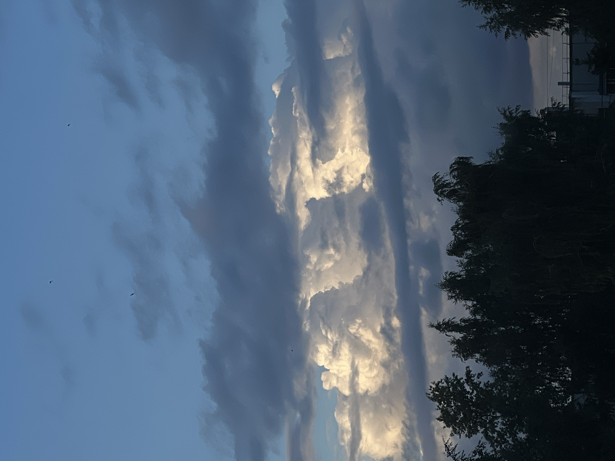 The image depicts a dramatic sky at dusk in Chaikovsky, Russia, characterized by a dynamic interplay of light and shadow among the clouds. A prominent band of bright, illuminated clouds, likely cumulus or cumulonimbus formations catching the last rays of the sun, stretches vertically through the frame. These luminous clouds are contrasted by darker, more diffused clouds that frame them, creating a sense of depth and movement. The sky transitions from a pale blue to deeper shades of gray, suggesting the approaching night.
In the lower right portion of the image, the silhouettes of trees are visible, their dark foliage obscuring the ground. These trees appear to be deciduous, with some branches showing a wispy, wind-blown quality. To the upper right, a building with several stories is partially visible, indicated by straight lines and a railing, suggesting an urban or suburban setting. A power line can also be discerned running horizontally behind the trees.
Two small, dark silhouettes of birds are captured in flight against the expansive sky, adding a sense of scale and life to the scene. The overall mood is one of natural grandeur and the transition from day to night, evoking a sense of peacefulness tinged with the awe-inspiring power of the elements. The time of day is clearly evening, as evidenced by the low-angled light illuminating the clouds and the darkening sky. No text is visible in the image.