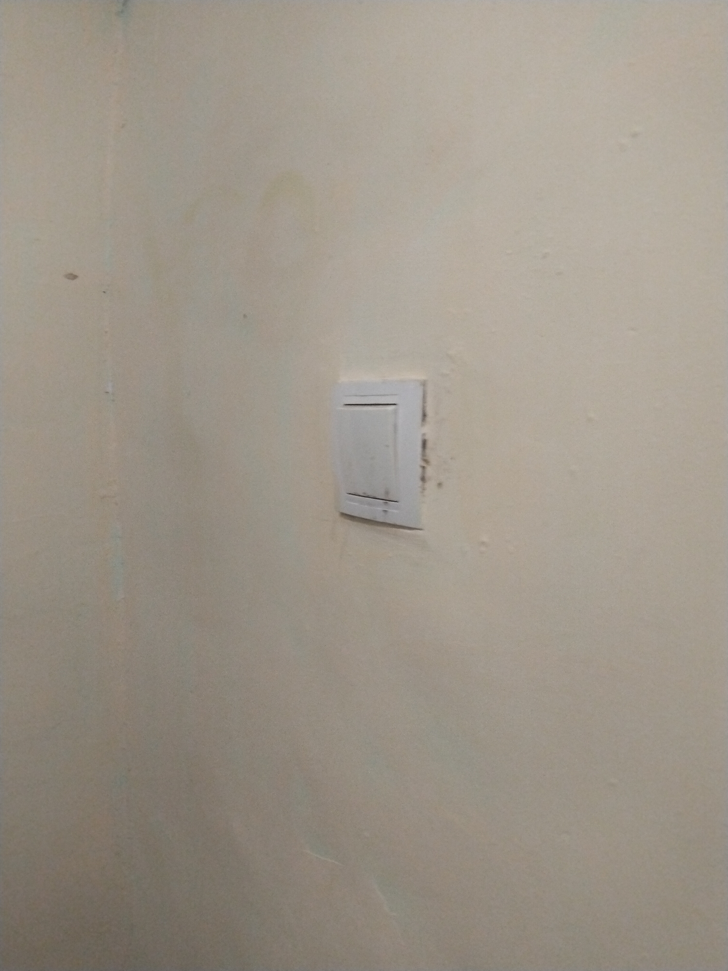 The image shows a light-colored wall with a white light switch. The wall has some discoloration and imperfections, suggesting it might be an interior wall. There are no people visible in the image. The scene is static and there is no action taking place. The environment appears to be an indoor setting. The city of Bunyodkor, Uzbekistan is mentioned in the prompt but there is no visual information in the image to confirm this location.