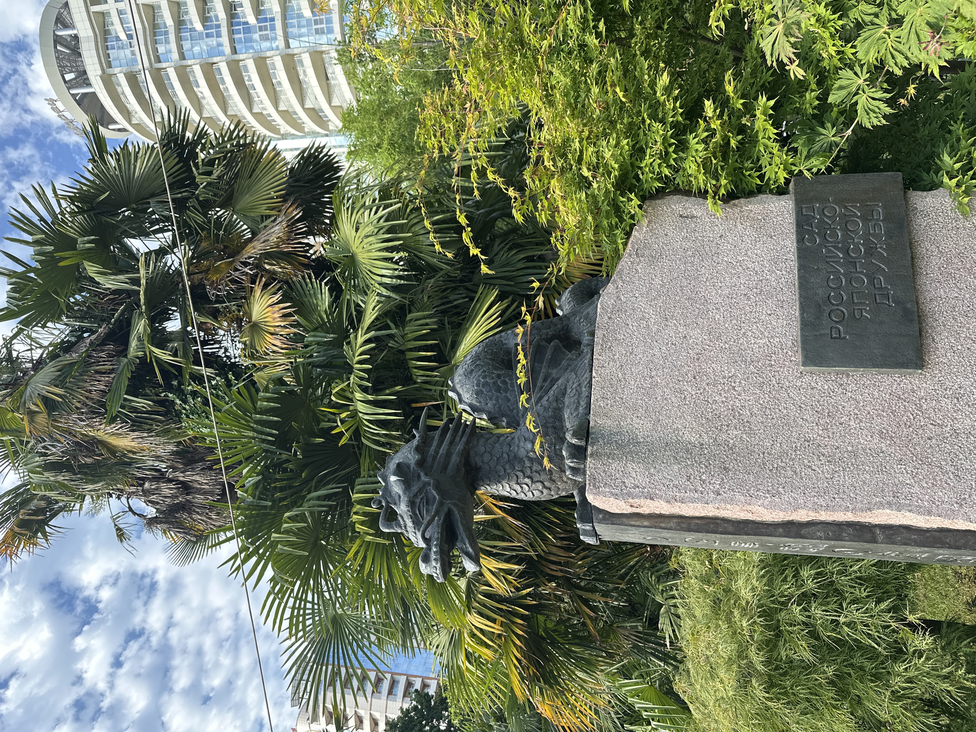 This is a vertical, eye-level shot of a stone sculpture of a dragon's head. The dragon sculpture is dark gray and appears to be made of metal or stone, with intricate detailing of scales and horns. It is positioned on the edge of a large, light gray stone monument.
The monument has a dark, rectangular plaque attached to its surface, inscribed with text in a Cyrillic alphabet. The text reads "САД РОССИЙСКО- ЯПОНСКОЙ ДРУЖБЫ" which translates to "Garden of Russian-Japanese Friendship."
Behind the monument and sculpture, a dense canopy of lush green tropical foliage, primarily palm fronds, fills the frame. The leaves are varied in shape and texture, with some appearing vibrant green and others slightly dried and brown, suggesting a warm climate. In the background, a modern, white, multi-story building with a curved facade and many windows is visible, peeking through the greenery.
The sky above is bright blue with scattered white, fluffy clouds. The lighting suggests it is daytime, likely mid-morning or afternoon, with bright sunlight casting shadows. The overall scene evokes a serene and exotic atmosphere, possibly in a botanical garden or park. The location is identified as Sochi, Russia. There are no people visible in the image.
