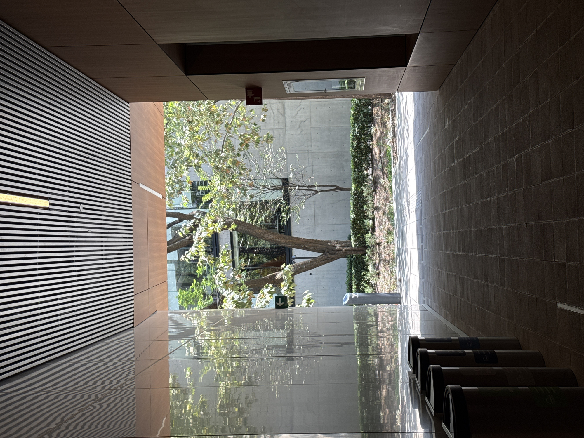 The image depicts an indoor architectural space, possibly a covered walkway or transition area, opening onto an outdoor green space during daytime.
The interior features a high ceiling constructed from dark, rectangular panels. The left wall is dominated by a textured surface of horizontal slats, creating a strong pattern and casting striped reflections onto the polished floor below. A rectangular light fixture is embedded within this slatted wall. The right wall is made of dark, square tiles, partially in shadow. The floor exhibits a mix of highly reflective, light-colored polished material on the left, mirroring the slatted wall and the outdoor scene, and a darker, possibly tiled, surface on the right.
Through the large opening, an outdoor area is visible. A mature tree with light green foliage and a multi-branched trunk is prominent, with another smaller tree nearby. Behind the trees stands a plain concrete wall, and to its right, a dense green hedge or vertical garden. A slender silver post stands in the outdoor space.
Notable details include four dark, barrel-shaped bins with curved tops lined up along the right wall, partially obscured by shadows. These appear to be recycling bins, though specific labels are mostly illegible, with faint blue and white symbols on some. Above the outdoor opening, a small red rectangular object is affixed to the ceiling, possibly a fire alarm or sign, and a rectangular light panel or vent is next to it. In the outdoor area, a small green sign with a white downward arrow is visible near the tree. The strong light creates clear shadows and reflections, suggesting bright, direct sunlight. No people or specific activities are visible in the scene. The setting implies a modern urban environment, consistent with Mexico City.