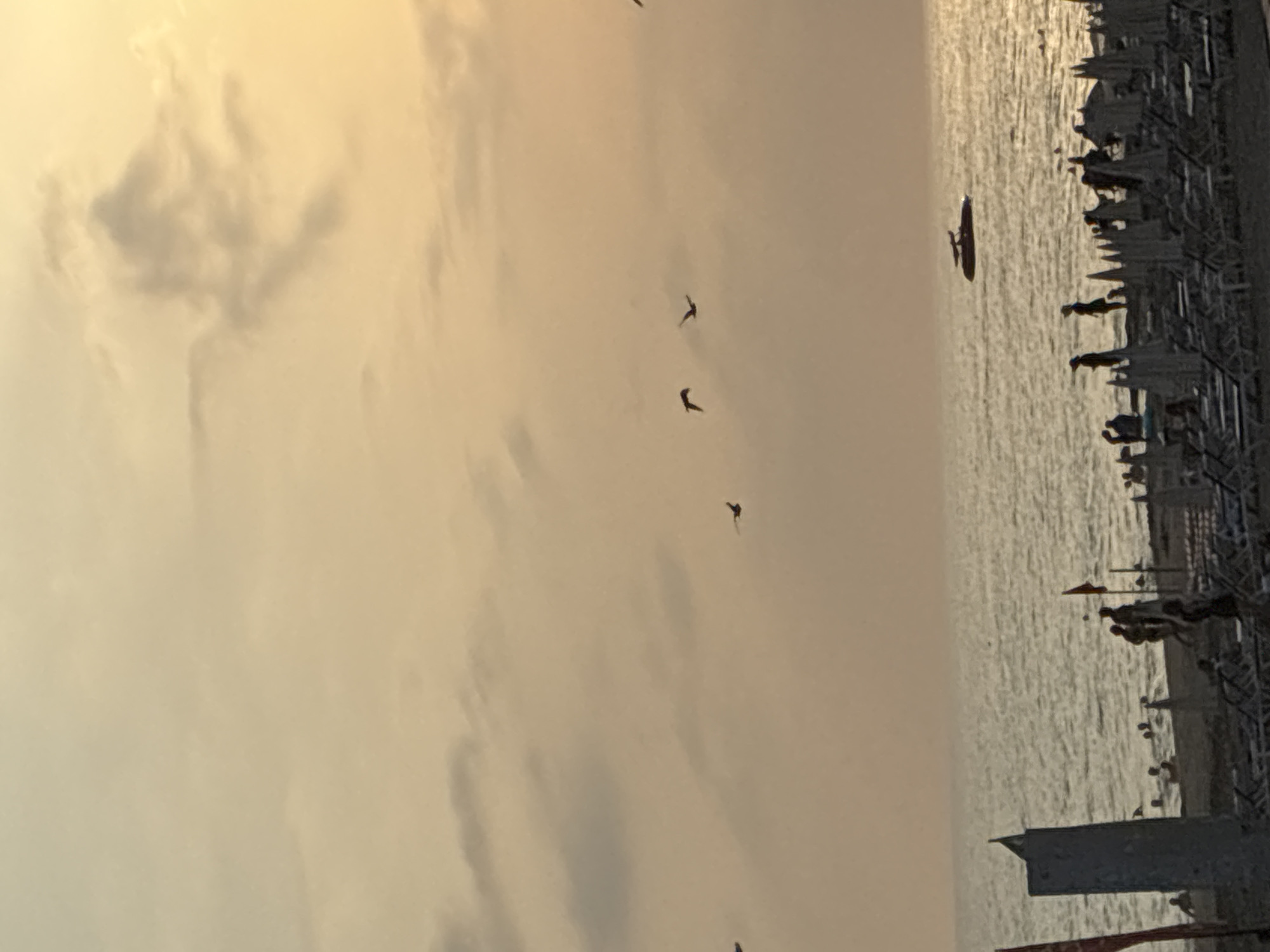 This is a photograph taken at sunset on a beach in Alanya, Turkey. The sky is a gradient of pale orange and yellow, with scattered clouds. Several birds are flying in silhouette against the sky. In the distance, a boat is visible on the calm sea. The foreground of the image shows a beach with rows of empty lounge chairs and umbrellas. Several people are visible on the beach and in the shallow water, some swimming and others walking. The overall mood of the image is peaceful and serene, capturing a typical evening scene at a Turkish resort town.