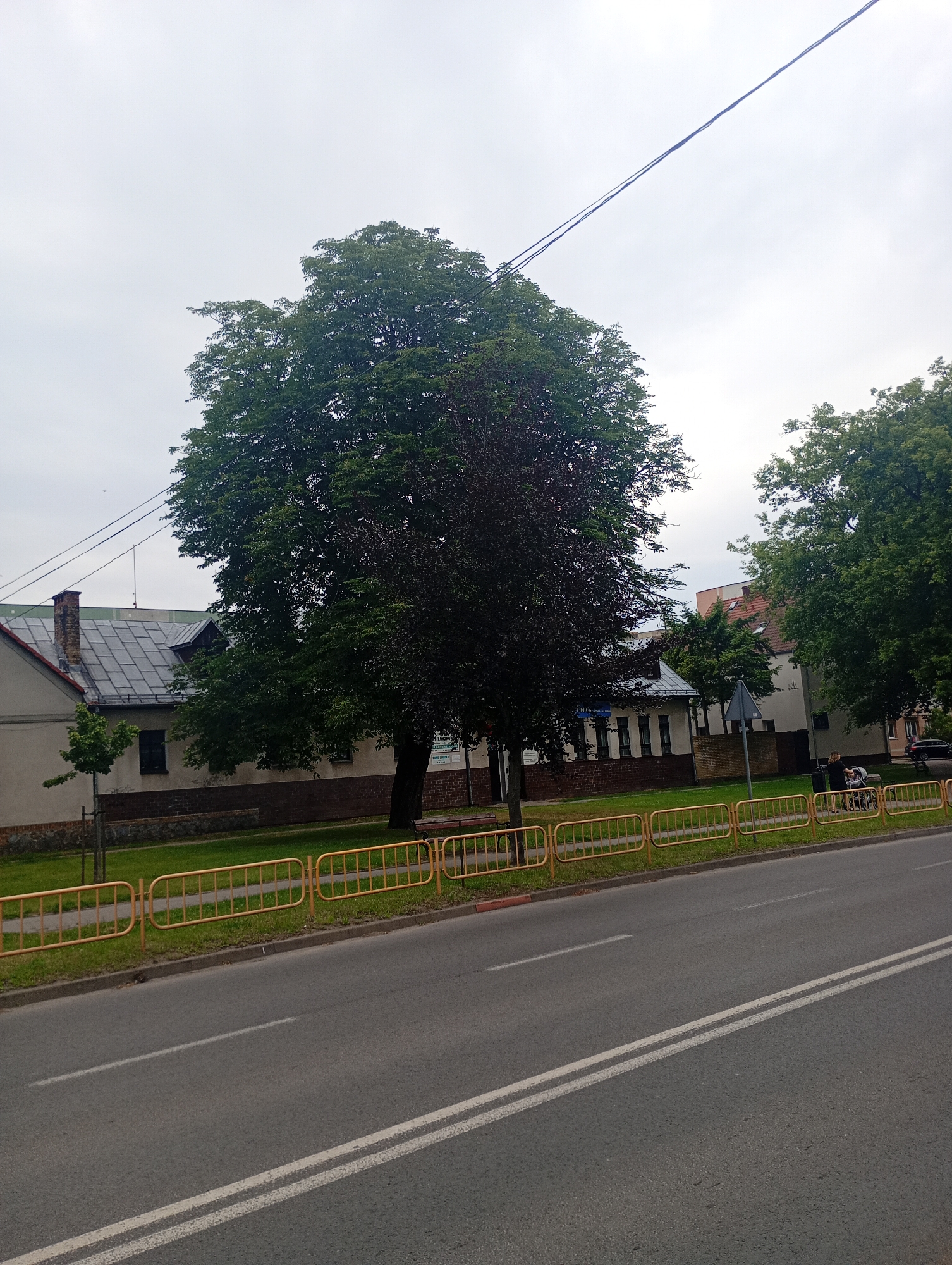 The image shows a street scene in Międzyrzecz, Poland, on an overcast day. In the foreground is a two-lane asphalt road with white lane markings. A yellow metal fence runs along the side of the road, separating it from a grassy area and a sidewalk. Behind the fence, there are several buildings, including a light-colored structure with a grey tiled roof and a chimney, and a larger building with a brick base and white upper walls. Two large trees with dense green foliage dominate the middle ground, with one tree appearing darker and possibly having reddish leaves. In the background, more buildings and trees are visible. There are power lines crossing the sky. On the far right of the image, two people are visible near a stroller, and a dark-colored car is parked further down the road.