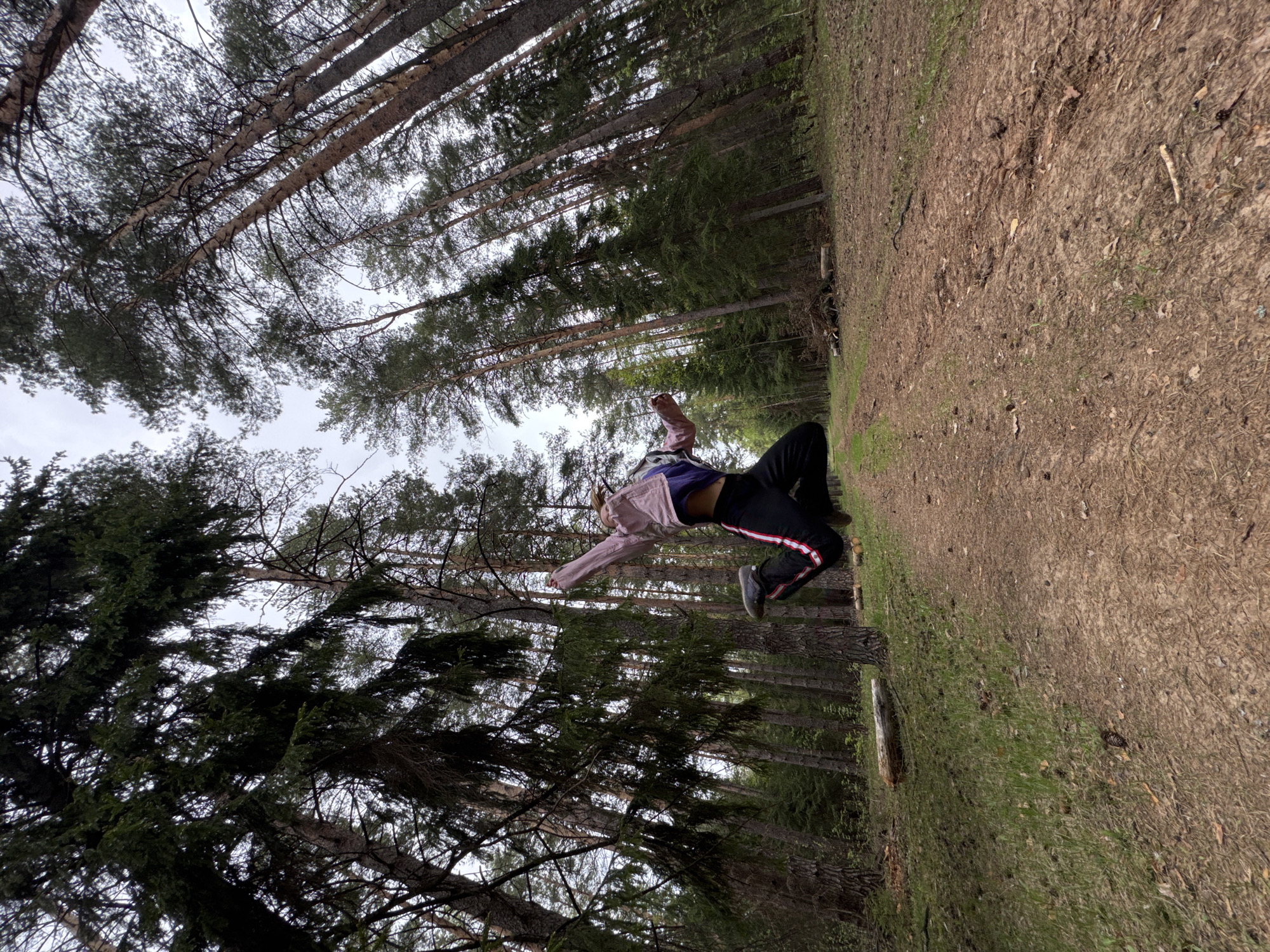 The image captures a person in mid-air, appearing to be performing a backflip or acrobatic maneuver within a forest setting. The location is identified as Прикамский, Russia. The trees are tall and slender, with dense foliage overhead that partially obscures the sky. The ground is covered with dirt, fallen leaves, and some patches of grass. The person is wearing dark pants with a white stripe, and a light-colored jacket, and appears to be in motion, with their arms and legs extended.