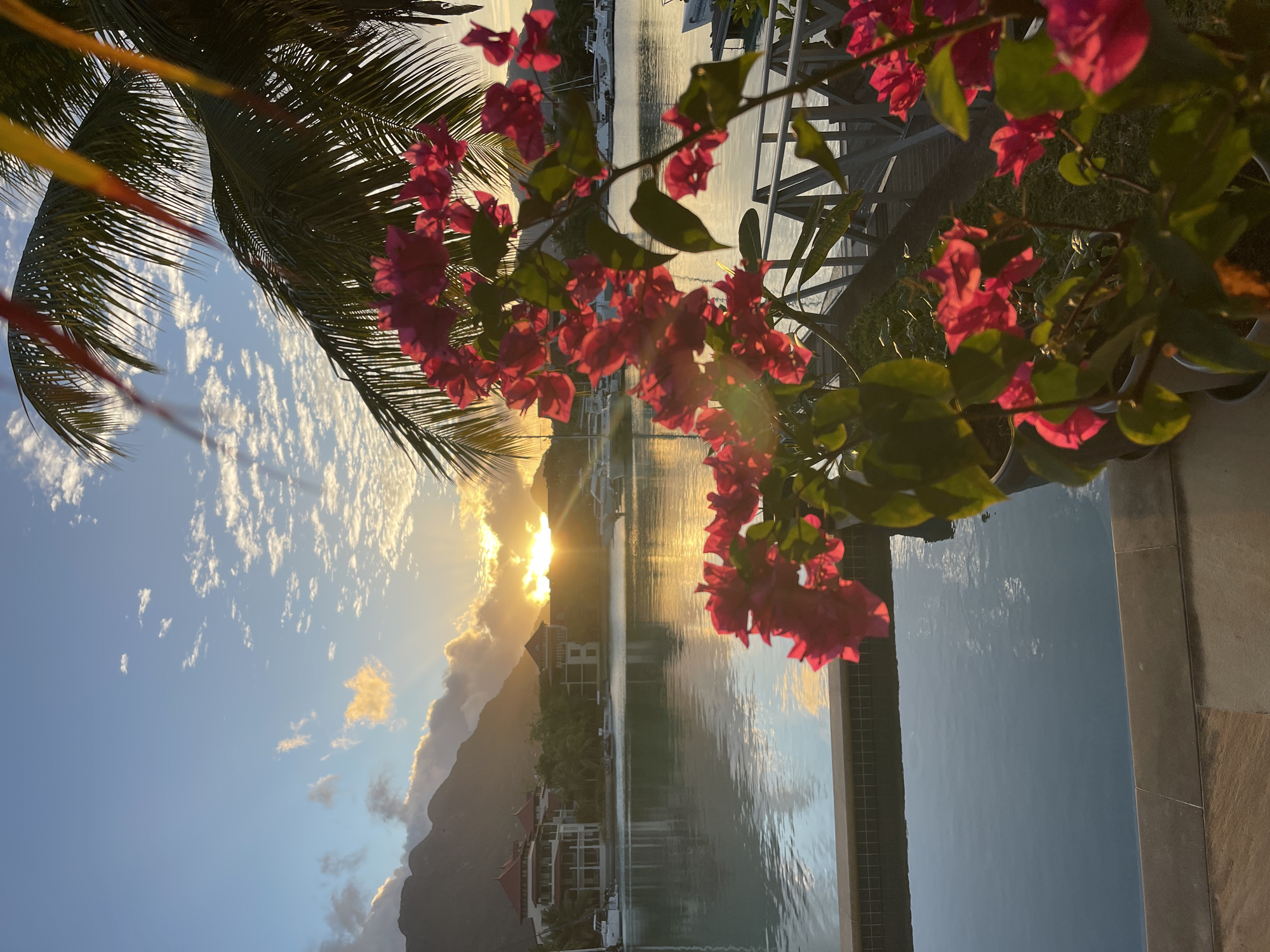The image captures a tranquil scene at sunset overlooking a marina and waterfront buildings. In the foreground, vibrant pink bougainvillea flowers and palm fronds frame the view, with a tiled infinity pool in the lower left corner. The water reflects the warm hues of the setting sun, which is partially obscured by clouds and mountains in the background. Several buildings with red-tiled roofs and white facades line the waterfront, with sailboats and yachts docked in the marina. The overall atmosphere is one of serene tropical beauty, suggesting a location in the Seychelles, likely near Victoria, a city known for its scenic harbor and lush surroundings.