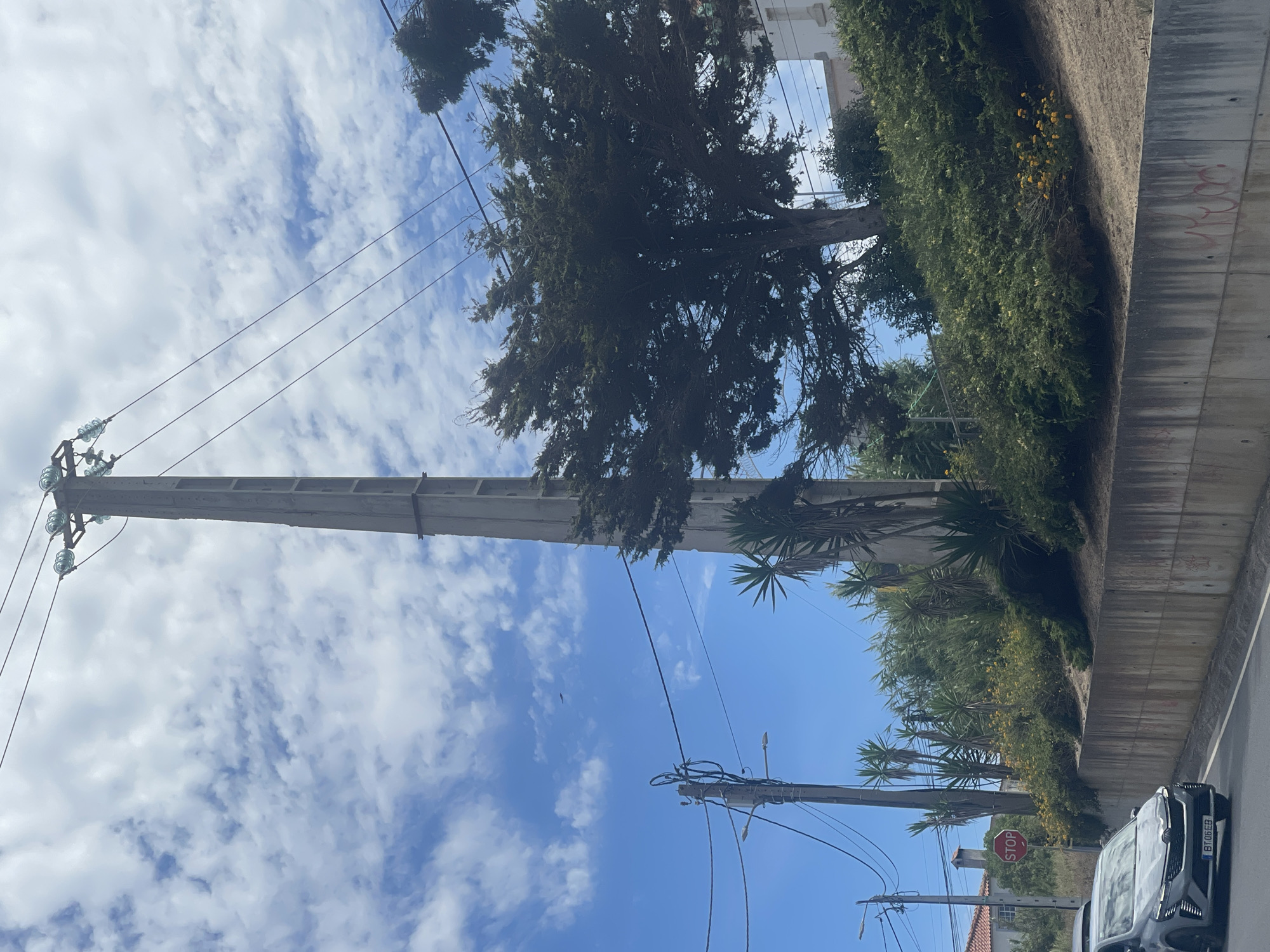 The image captures a scene in Colares, Portugal, on a bright, cloudy day. A tall concrete utility pole with insulators and overhead wires dominates the center-left of the frame. To the right, a mature, dense evergreen tree with sprawling branches is partially visible, its dark foliage contrasting with the light blue sky and white clouds.
In the foreground, a grey car with a license plate reading "BT.06.EB" is driving on a paved road. To the left of the road, a red octagonal STOP sign is mounted on a pole. Behind the STOP sign, a building with a terracotta roof is visible.
The background features a sloping embankment covered in lush green bushes and smaller palm-like plants, interspersed with yellow wildflowers. A concrete wall runs along the road, exhibiting some graffiti. Further back, a white building with a light-colored facade and windows can be seen behind the tree. The overall environment suggests a roadside setting within a town or semi-rural area, characterized by natural vegetation and urban infrastructure.