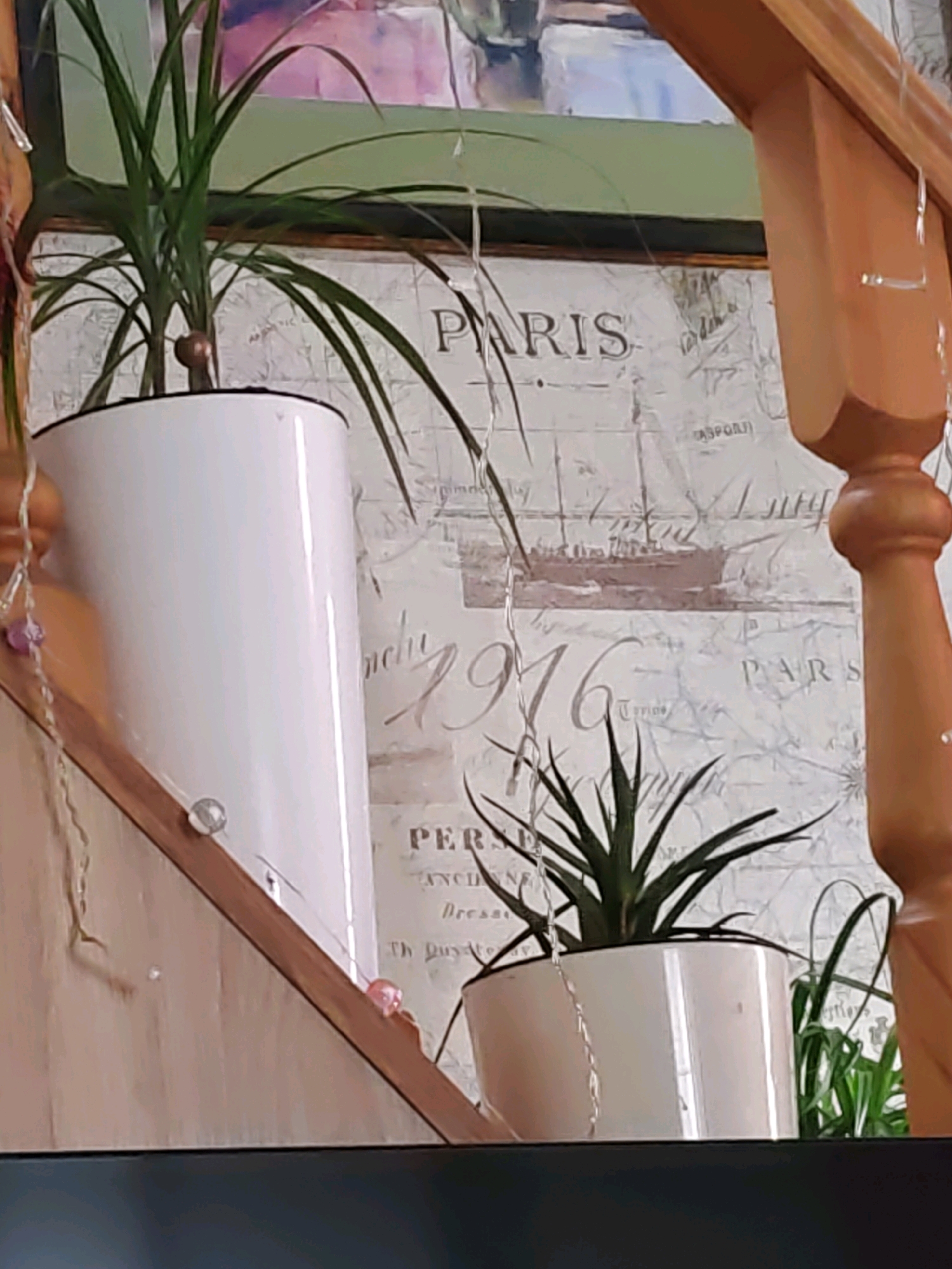 The image shows an indoor staircase with plants in pots. The staircase has a wooden railing and steps. There are two potted plants visible, one tall and slender, and another shorter, spikier plant. The background appears to be a wall with a decorative map or wallpaper that features the word "PARIS" and an image of a ship. There are also string lights draped around the railing. The scene is well-lit, suggesting it's daytime or the lights are on. The image does not provide any information or visual cues that would indicate its location in Rostov-on-Don, Russia, or any specific city.
