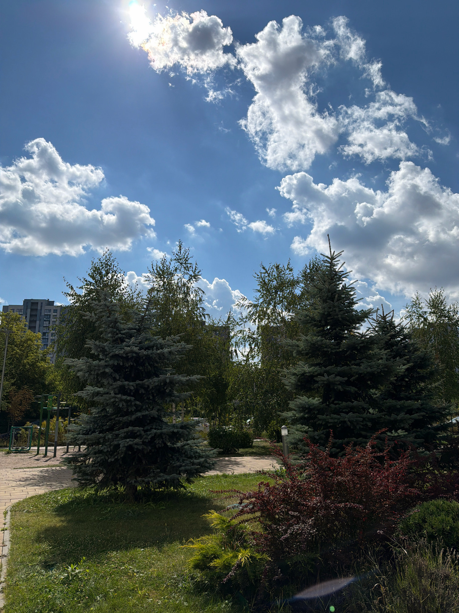 The image shows a sunny day with a bright sun partially obscured by clouds in the upper left corner. The sky is blue with fluffy white clouds. In the foreground, there is a paved walkway bordered by green grass and bushes. Several evergreen trees, including what appears to be a blue spruce, are prominent. Behind the trees, a modern residential building with multiple stories is visible. There are also some outdoor exercise equipment structures in the background to the left. The scene is set in a park or residential area, likely in Kyiv, Ukraine, given the architectural style of the building and the general landscape. There are no people visible in the image.