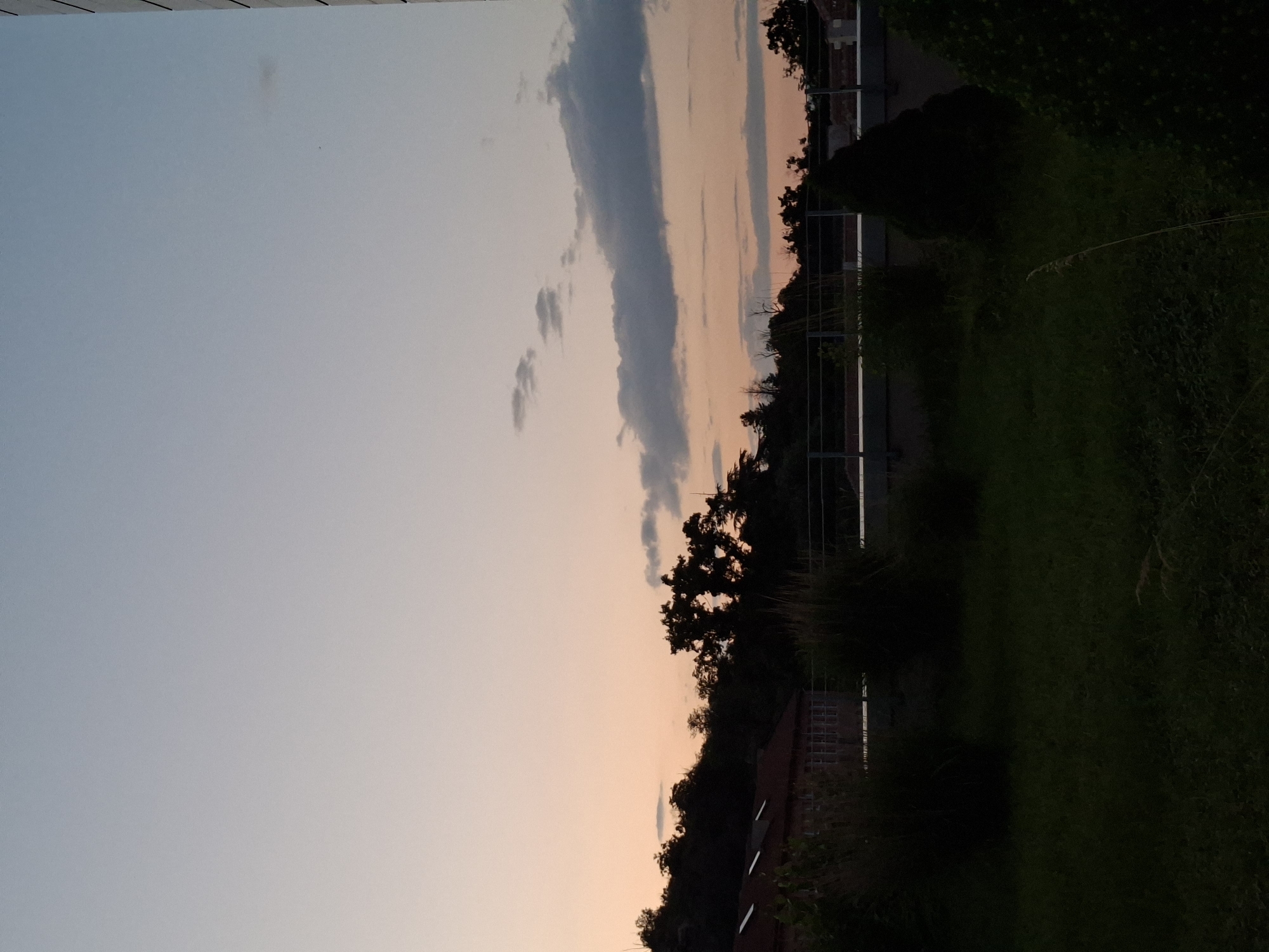 The image captures a twilight or sunset scene overlooking a landscape in the city of Plovdiv, Bulgaria, from an elevated vantage point. The sky displays a clear gradient, transitioning from a light blue hue at the top to a pale orange-pink tone towards the horizon. Scattered dark grey cumulus clouds are visible across the sky, predominantly in the right and central portions.
In the midground, a dark, undulating line of silhouetted trees and vegetation forms the horizon, suggesting a distant hill or elevated terrain. Below this tree line, on the left side, a building with a reddish-brown tiled roof and multiple rectangular windows is partially visible, appearing in low light. A horizontal metal railing, comprising several parallel bars, spans across the central midground, likely belonging to a balcony or rooftop terrace from which the photograph was taken. On the far right edge of the frame, a vertical segment of a light-colored, modern building is present.
The foreground is dominated by dense, dark vegetation, including a grassy area and various bushes and tall, slender plants, all heavily silhouetted and underexposed due to the ambient low light conditions. No individuals, animals, or discernible actions are present within the frame.