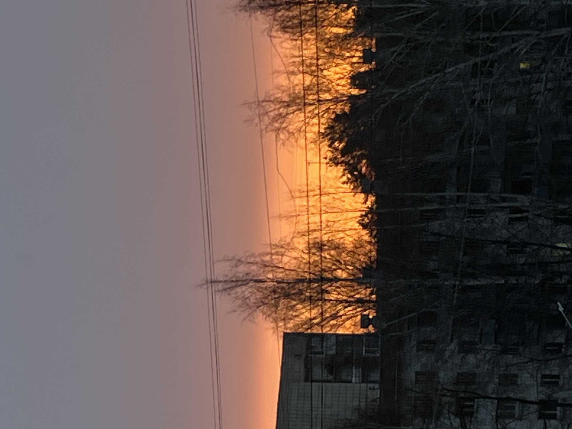 The image depicts a high-rise building adjacent to a sunset in Chaikovsky, Russia. Bare tree branches are prominent in the foreground and obscure part of the building. Power lines run along the side of the high rise building. The sky is an orange-purple color from the sunset.