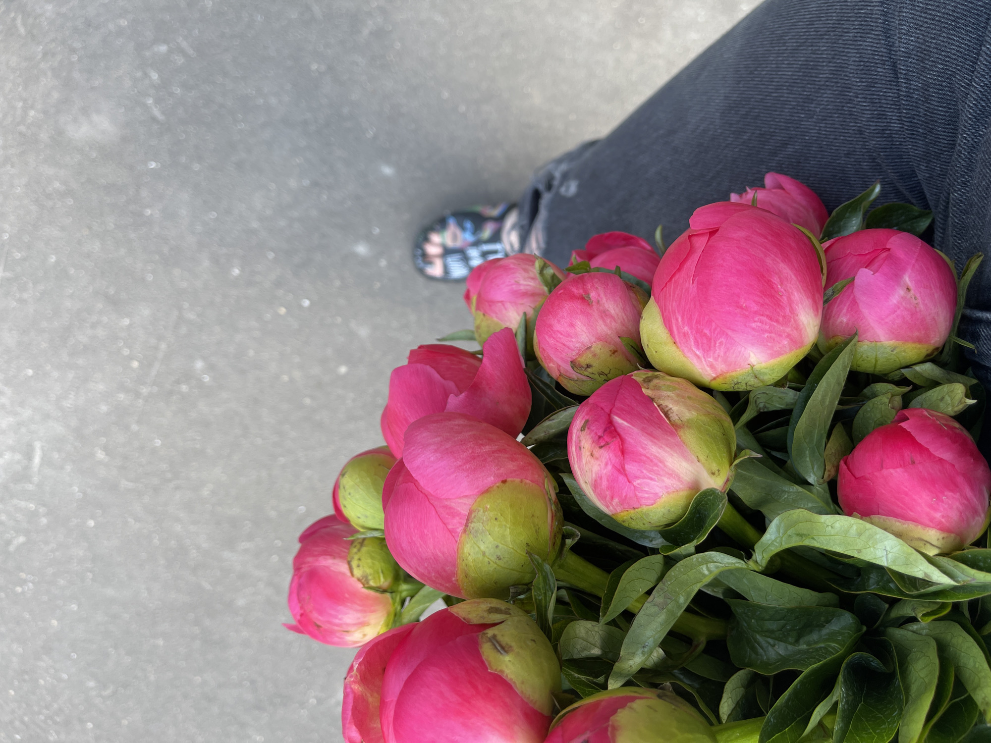 A high-angle, close-up shot focuses on a bouquet of bright pink peony buds with visible green sepals, set against a blurred gray concrete surface. The foreground is dominated by the lush green foliage of the peonies, with several buds in various stages of opening. A person's legs, clad in dark denim jeans, are visible in the lower right quadrant of the image. They are wearing colorful, patterned shoes. The blurred background suggests an outdoor urban environment, possibly a sidewalk or pathway in the city of Kommunarka, Russia, with the gray concrete texture indicating a paved area. The overall impression is a candid moment, capturing the beauty of the flowers in a simple, everyday setting.