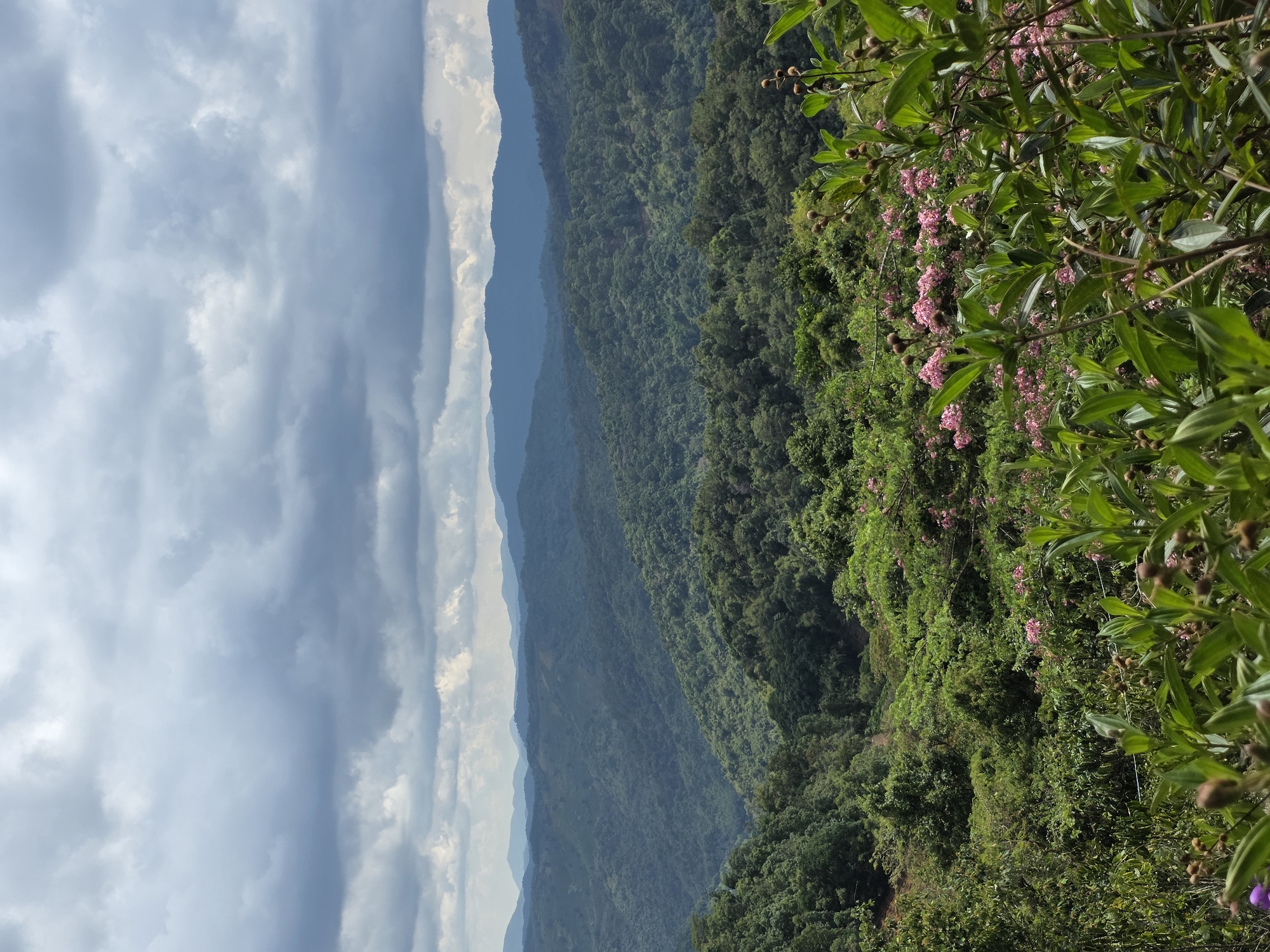 The image depicts a mountainous landscape in Sơn Điền, Vietnam. The foreground features dense, green vegetation, including flowering plants with small pink blossoms. In the mid-ground, layers of forested mountains extend into the distance, their green hues fading with perspective. The background is filled with a cloudy sky, a band of lighter clouds near the horizon gradually transitioning to darker, stormier clouds overhead. The scene suggests a high vantage point overlooking a vast, natural terrain.