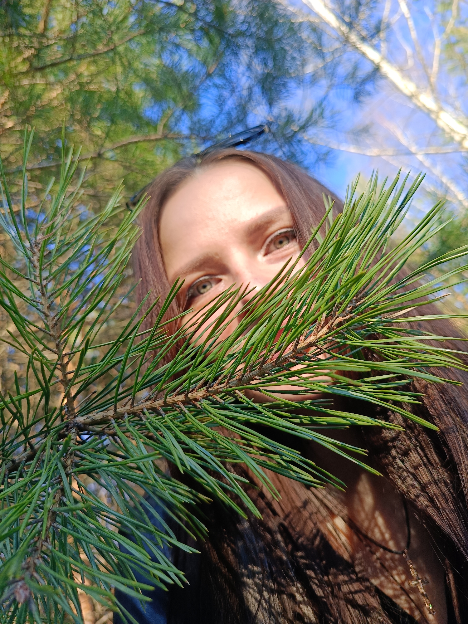 This close-up, low-angle photograph captures a person, likely a woman, looking directly at the camera, partially obscured by a prominent pine branch in the foreground. Her eyes are the most clearly visible feature of her face, peeking out from behind the vibrant green pine needles. Long, dark brown hair frames her face and shoulders, with sunlight casting subtle shadows and highlights on it. A small, dark cross pendant on a string is visible around her neck, resting on her hair.
The setting appears to be a natural outdoor environment, consistent with a forest or park in Chaikovsky, Russia. The background is softly blurred, showcasing a clear blue sky and the silhouettes of other trees, including what appear to be light-barked trees like birches, further confirming a natural outdoor location. The bright illumination suggests it is daytime with sunny weather. The pine branch itself is in sharp focus, its numerous green needles creating a textured screen in front of the subject. The overall impression is one of natural beauty and a playful or direct gaze from the person. There is no visible text in the image.