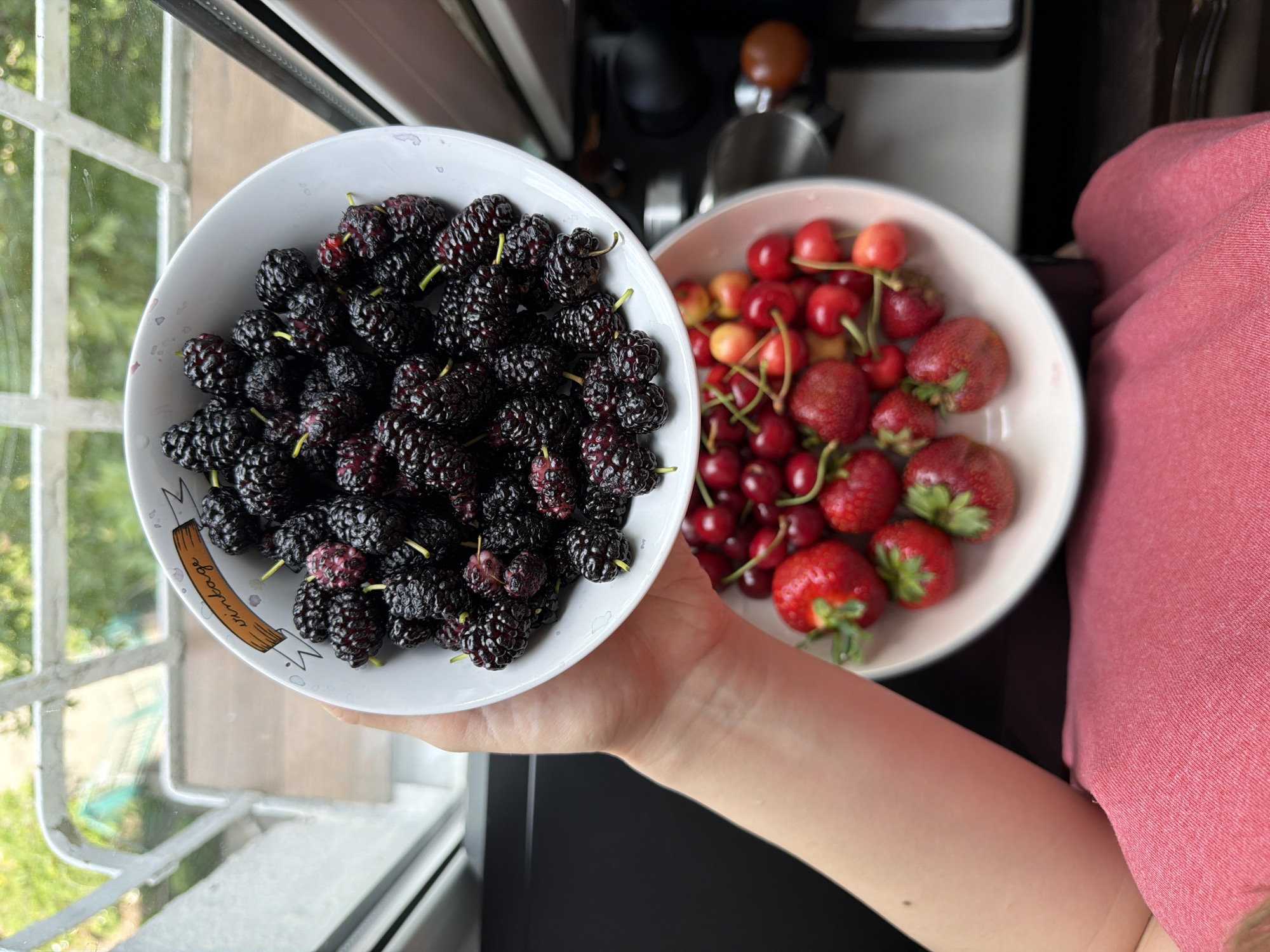 A person's hand and arm are visible in the foreground, holding a white bowl filled with dark mulberries. Below this bowl, another white bowl contains a mix of red strawberries and cherries. The background shows a window with white bars and greenery outside. The scene appears to be indoors, near a window.