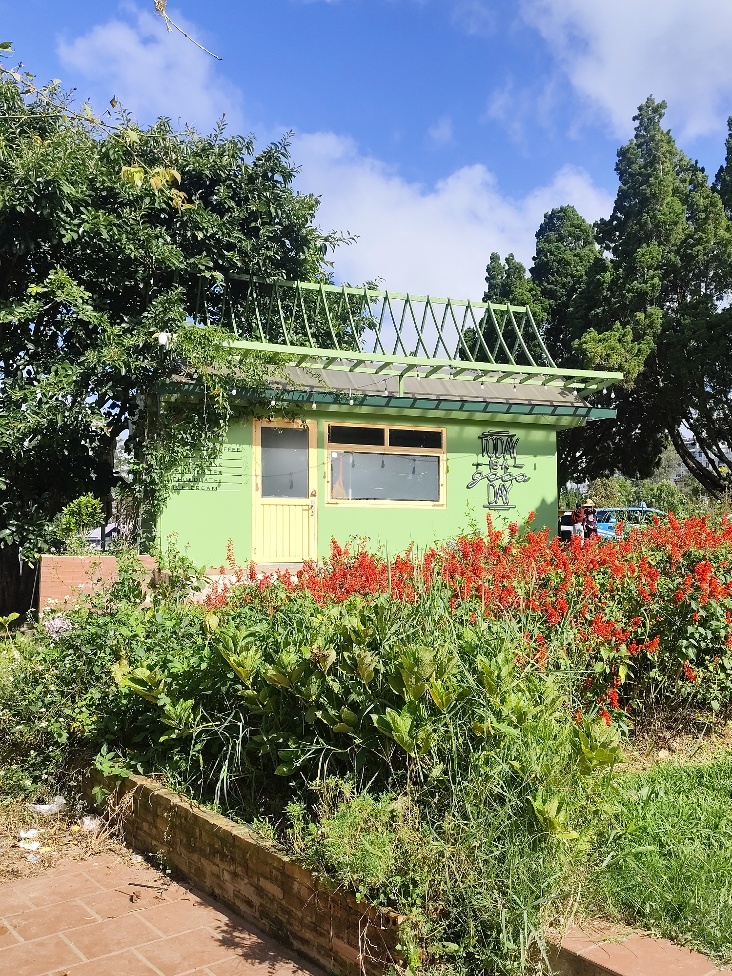 The image depicts a small, bright green, single-story building with a yellow door and yellow window frames, located in Da Lat, Vietnam. The building has a green, slatted roof structure extending outwards. Green vines hang down the side of the building, and a neon sign on the wall reads "TODAY IS A GOOD DAY." In front of the building, a dense bed of vibrant red flowers and green foliage is visible, bordered by a low brick wall. To the left of the building, a large, leafy green tree provides shade. In the background, several tall pine trees are present, characteristic of Da Lat's landscape. A blue car and two individuals, one wearing a hat, are visible behind the flowers. The ground in the foreground is paved with reddish-brown tiles. The sky is blue with scattered white clouds.
