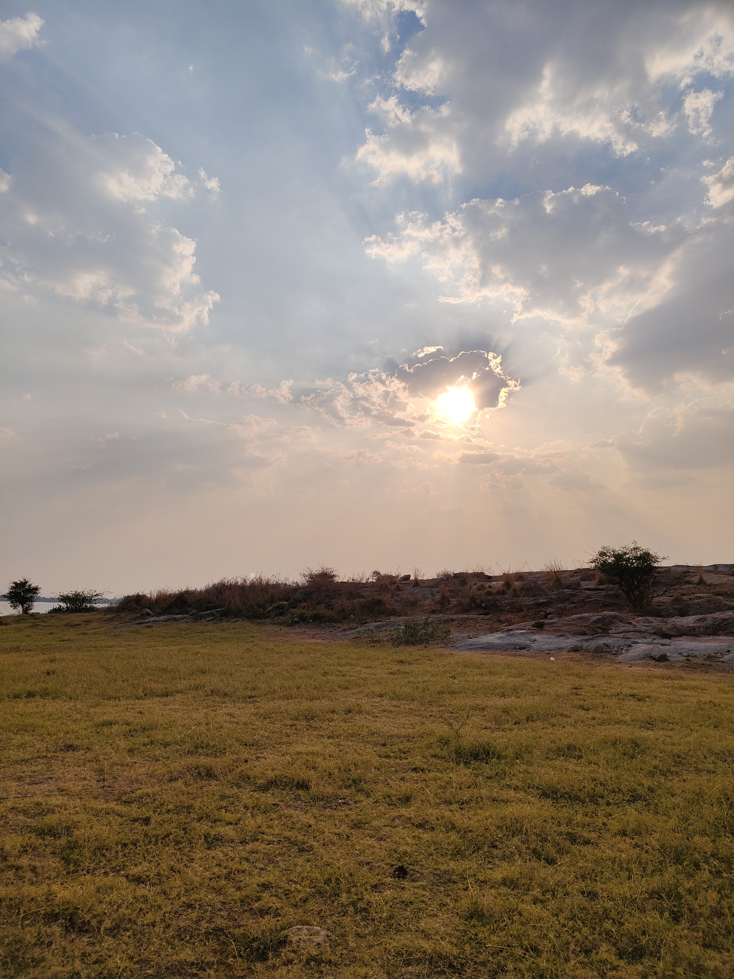 The image depicts a landscape near Kammavaripalli, India, at sunset. The sun is partially obscured by clouds, creating rays of light. The foreground consists of dry grassland, transitioning to a rocky, slightly elevated area with sparse vegetation and shrubs. In the distance, a few trees are visible against the skyline. The sky is filled with clouds, and the overall lighting suggests a warm, sunset ambiance.