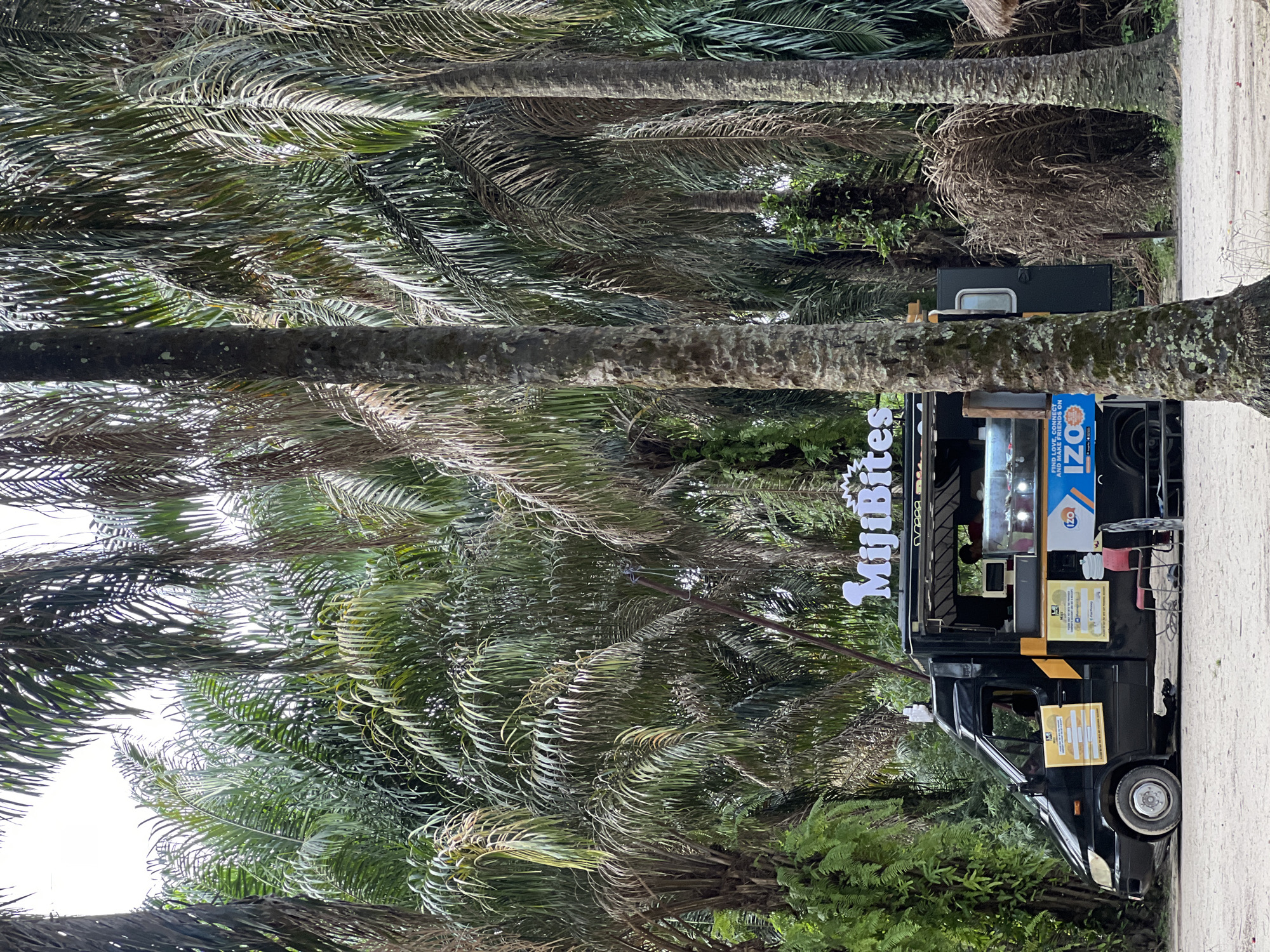 The image depicts a black van parked on a paved surface, likely a street or parking area. The van has the name "MjjBites" displayed on its side, indicating it is likely a food truck or mobile business. A sign with the word "IZO!" is also visible.
The environment is characterized by tall palm trees, with the van parked amidst them. The trees provide shade and contribute to the lush, tropical feel of the scene.
Based on the query, the location is likely Sangotedo, Nigeria, although this cannot be verified from the image alone.