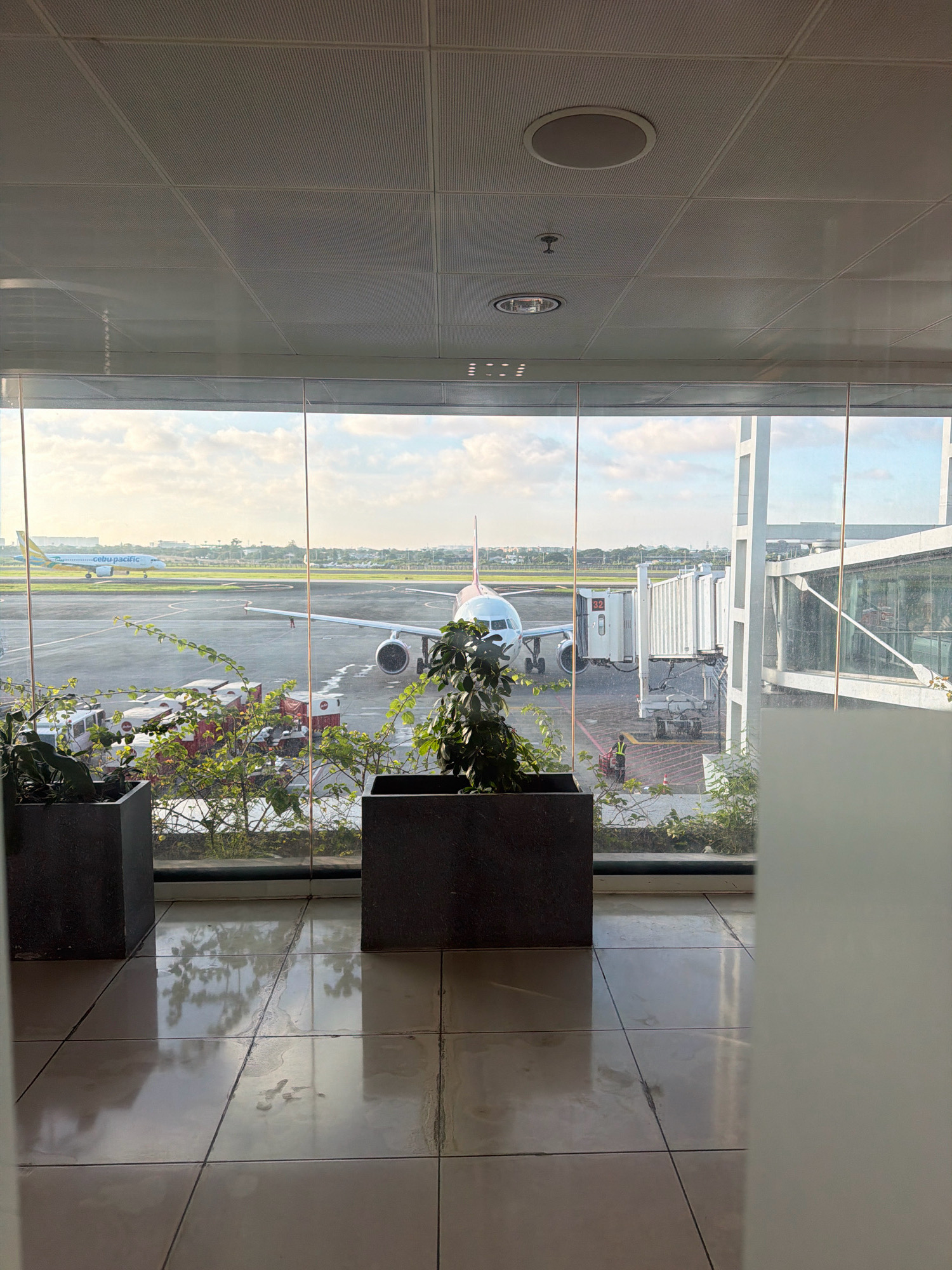 This image depicts an indoor view of an airport terminal in Pasay, Philippines, looking out onto the tarmac. A large glass window separates the interior from the exterior. Inside the terminal, two large dark planters with green foliage are visible in the foreground. The floor is tiled and shows reflections of the plants and ceiling.
Outside the window, several airplanes are present. One airplane, identified by the "Cebu Pacific" logo and livery, is visible on the runway in the distance to the left. Closer to the terminal, another airplane with pink and white livery is parked and connected to a jet bridge. Various airport service vehicles, including baggage carts, are positioned around the parked aircraft. A jet bridge is extended to the airplane, and a person in a yellow vest is standing near the aircraft. The sky is partly cloudy. The ceiling of the terminal features a grid of acoustic tiles with several light fixtures and speakers.
