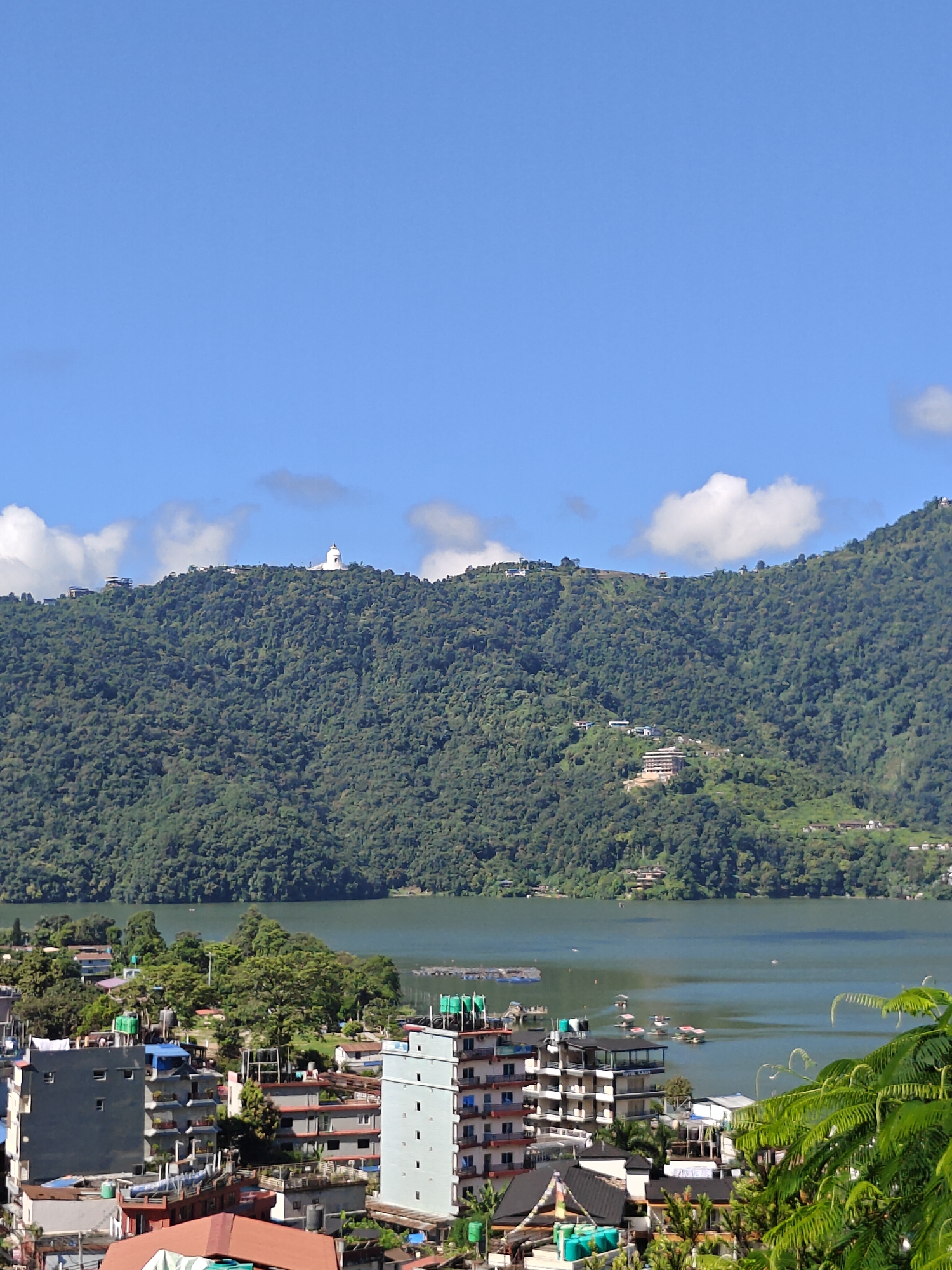 The image captures a panoramic view of the Phewa Lake in Pokhara, Nepal, under a clear blue sky with scattered white clouds. In the foreground, a cluster of multi-story buildings forms a dense urban area, with various architectural styles and colors, including gray, white, and red-tiled roofs. Some buildings have balconies and rooftop structures, suggesting residential or commercial use. Lush green trees are interspersed among the buildings, and some appear to be growing on the slopes of the hills.
The middle ground is dominated by the serene expanse of Phewa Lake, its surface reflecting the surrounding landscape and sky. Several small boats are visible on the water, adding a sense of activity to the scene. Along the shoreline, more trees and some structures can be observed.
The background features a majestic, densely forested hill that rises steeply from the lake. The verdant slopes are covered in a thick carpet of trees. Perched atop the highest point of the hill is a prominent white stupa, likely the World Peace Pagoda, a famous landmark in Pokhara. The presence of scattered buildings on the hillside indicates that the area is inhabited. The overall impression is one of natural beauty and urban development coexisting in a scenic lakeside setting.