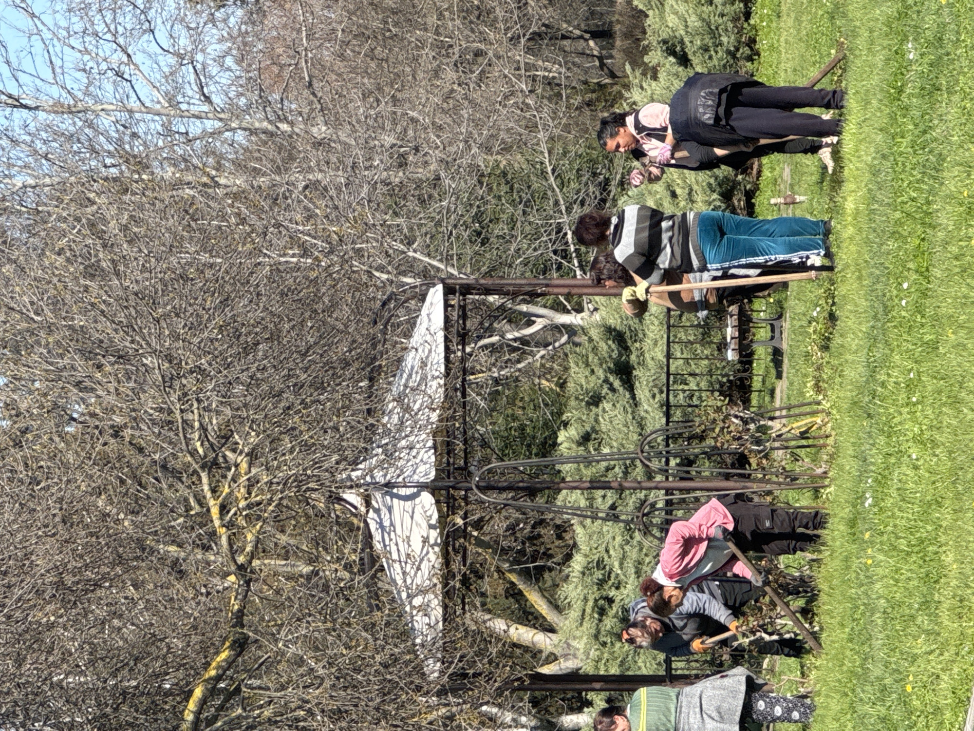 A group of people is engaged in gardening activities in a park-like setting. Several individuals are using tools such as shovels and rakes. There is a trellis visible, partially covered by a white cloth or structure. The scene also includes a tree with bare branches and an area covered with green shrubbery. The location appears to be a well-maintained green space. Without specific context or additional information, I cannot determine the exact location in Burgas, Bulgaria.