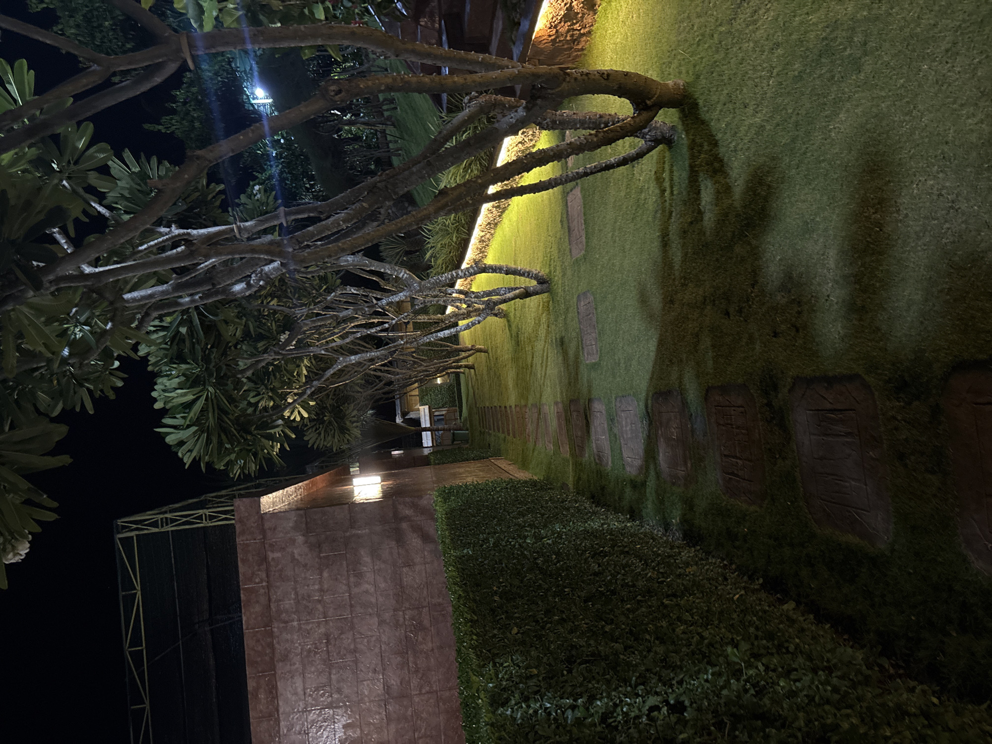 The image depicts an outdoor scene at night in Bac Nha Trang Ward, Vietnam. A pathway, partially obscured by grass, is illuminated by hidden lighting. The path's surface appears to be composed of individual stone or tile blocks. To the side of the path is a thick hedge of greenery.
Overhanging the path are numerous tree branches with sparse foliage. A building with a textured wall is partially visible. Additionally, a metal framework structure is present in the background.