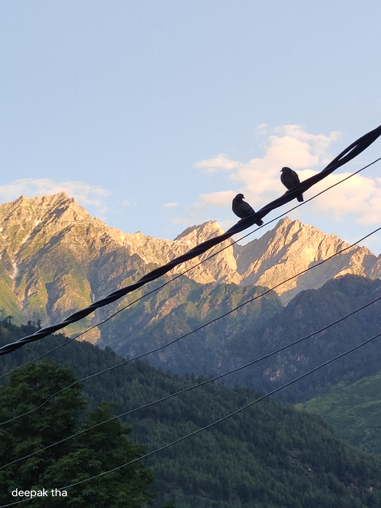 Two pigeons are perched on a power line that stretches across the frame. In the background, a majestic mountain range, possibly in the Himalayas near Vashisht, India, is illuminated by the golden light of either sunrise or sunset. The peaks are rugged, with patches of snow visible, and the slopes are covered in lush green forests. The sky is a soft blue with a few scattered clouds. At the bottom left corner of the image, the text "deepak tha" is visible.