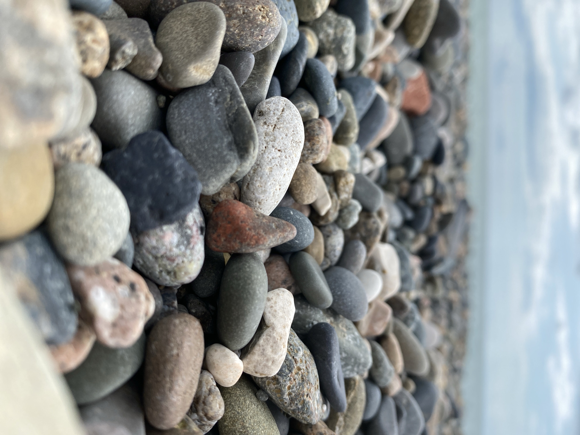 A low-angle, close-up shot of a pebble beach in Sokhumi, Abkhazia. The foreground is filled with a dense collection of smooth, rounded pebbles of various sizes and colors, including grays, whites, blacks, and some reddish-brown hues. The pebbles are unevenly distributed, creating a textured surface. In the background, the calm sea is visible, with a soft, slightly overcast sky above. The depth of field is shallow, with the pebbles in the foreground sharply in focus and the background gradually blurring. There are no people or animals visible in the image. The scene depicts a natural, serene coastal environment.