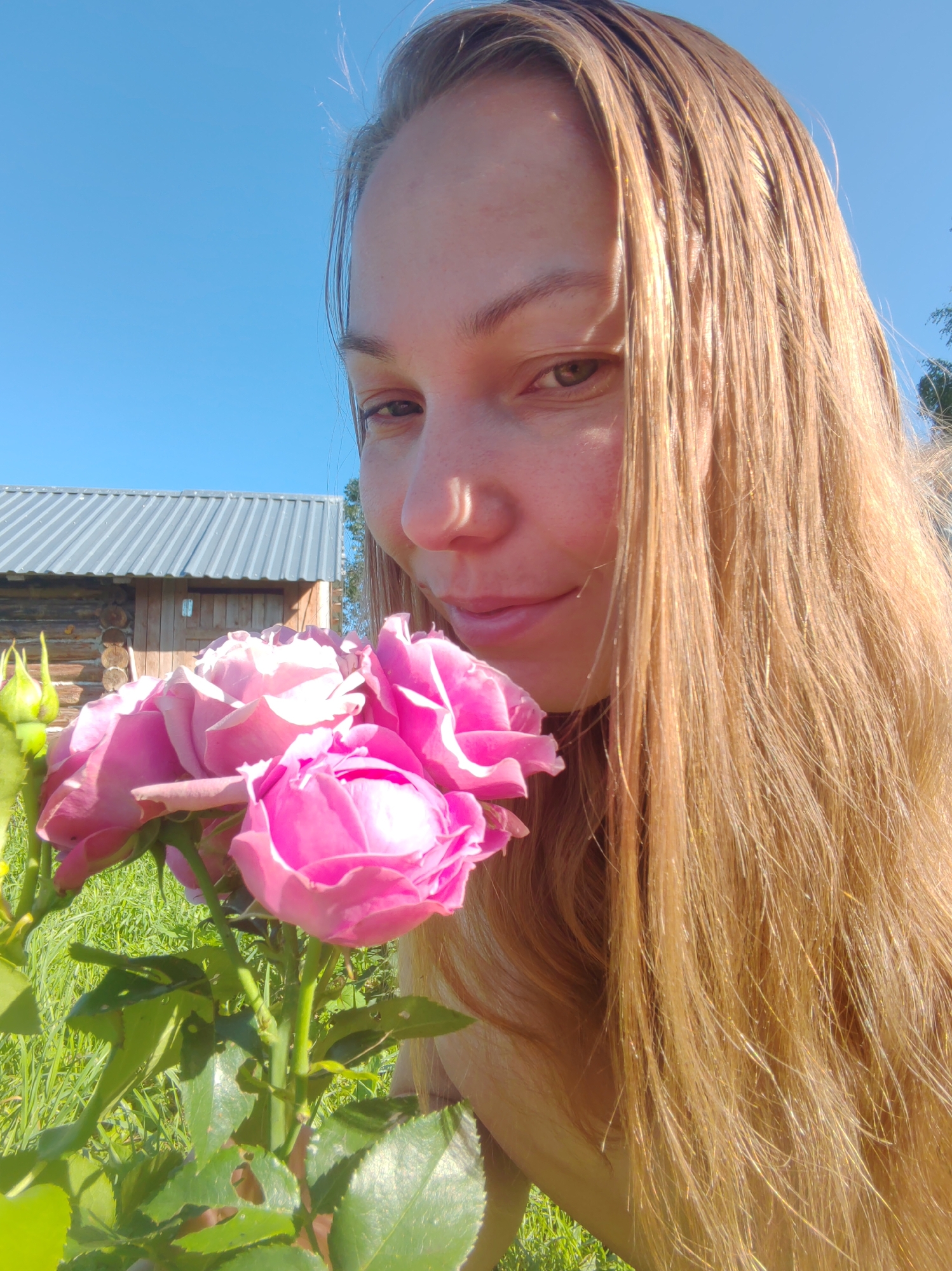 In an outdoor scene bathed in bright sunlight, a person with long, light brown hair is shown from the chest up, looking down towards a cluster of pink roses. The person's face is partially obscured by their hair and the flowers. The background features a wooden building with a corrugated metal roof, suggesting a rural or suburban setting. A clear blue sky is visible above. The environment appears to be natural, with green grass and the roses in bloom. The location is identified as Чухлэм, Russia.