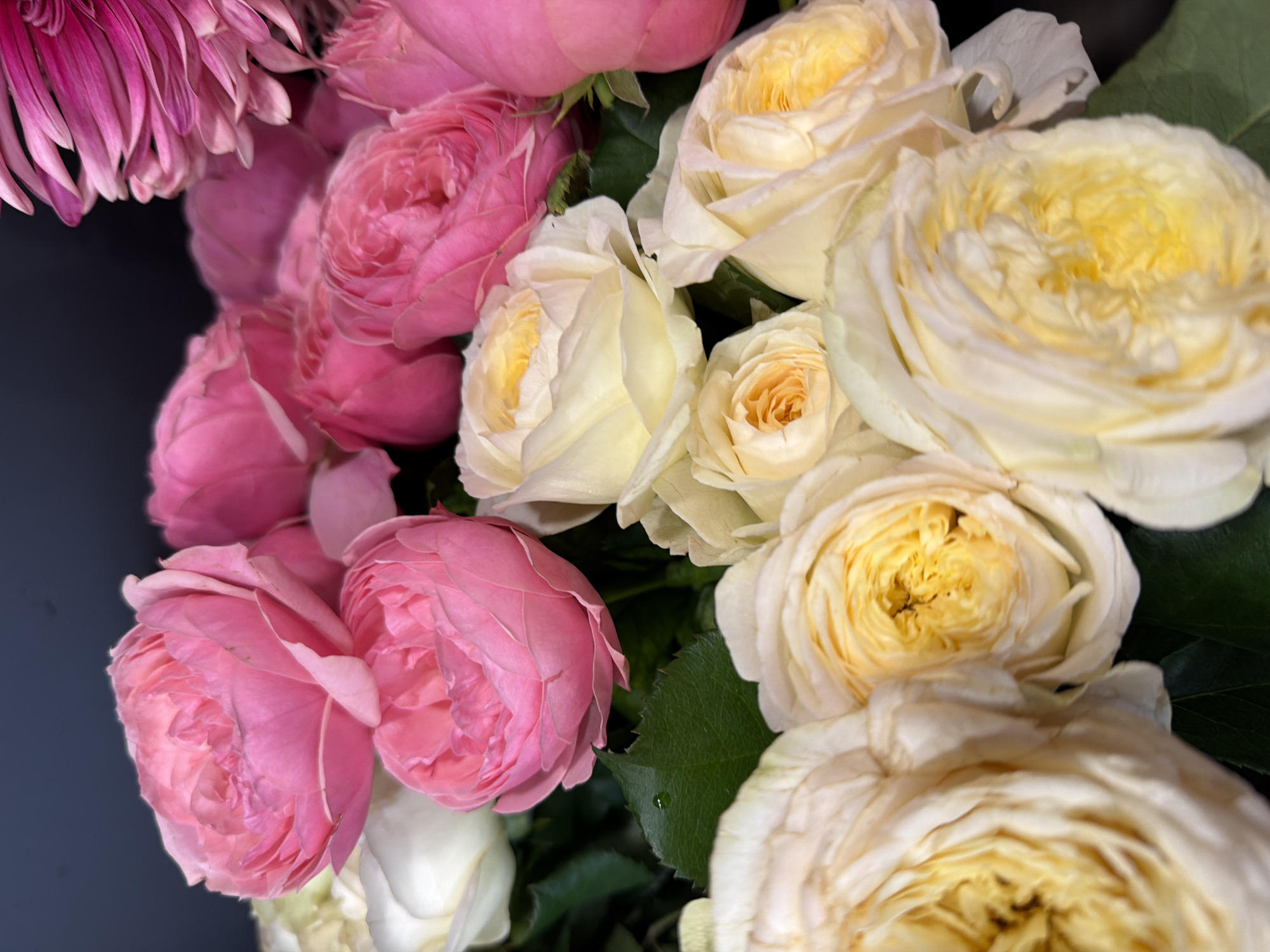 This media file is a close-up, high-angle photograph of a bouquet of flowers against a dark, out-of-focus background. The bouquet features a variety of roses in shades of pink and cream. Some roses are fully bloomed with tightly packed petals, while others are in various stages of opening. The pink roses are a deep, vibrant shade, and some have a ruffled appearance. The cream-colored roses have soft yellow centers. Interspersed with the roses are dark green leaves, one of which has a small water droplet on it. In the upper left corner, a portion of a large, pink, multi-petaled flower, possibly a chrysanthemum or dahlia, is visible, adding a different texture to the arrangement. The lighting appears to be soft and diffused, highlighting the delicate textures of the petals. There is no discernible text within the image. The overall impression is one of natural beauty and elegance.