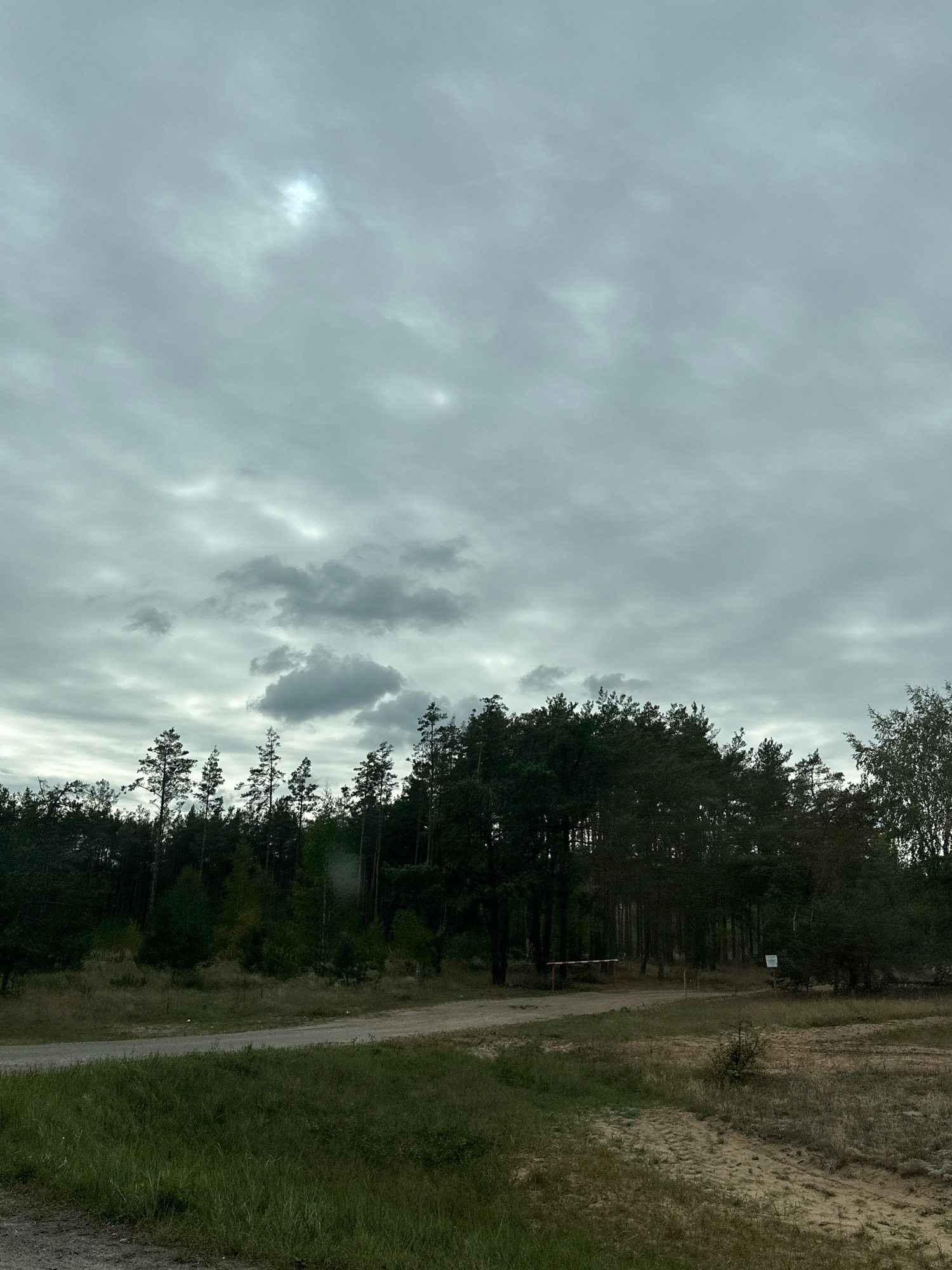 The image shows a natural scene under an overcast sky, with a forest bordering a sandy area and a road. The sky is filled with gray clouds, with a small patch of lighter clouds or possibly the sun peeking through in the upper left quadrant. The forest consists of various types of trees, predominantly evergreens, with some deciduous trees mixed in. The ground is a mix of dry grass, sand, and a dirt road that curves through the scene. In the distance, within the tree line, there appears to be a barrier or gate, and a sign. There are no people or animals visible in the image. The overall impression is one of a quiet, natural environment. The location is identified as Краснаўскі сельскі Савет, Belarus.