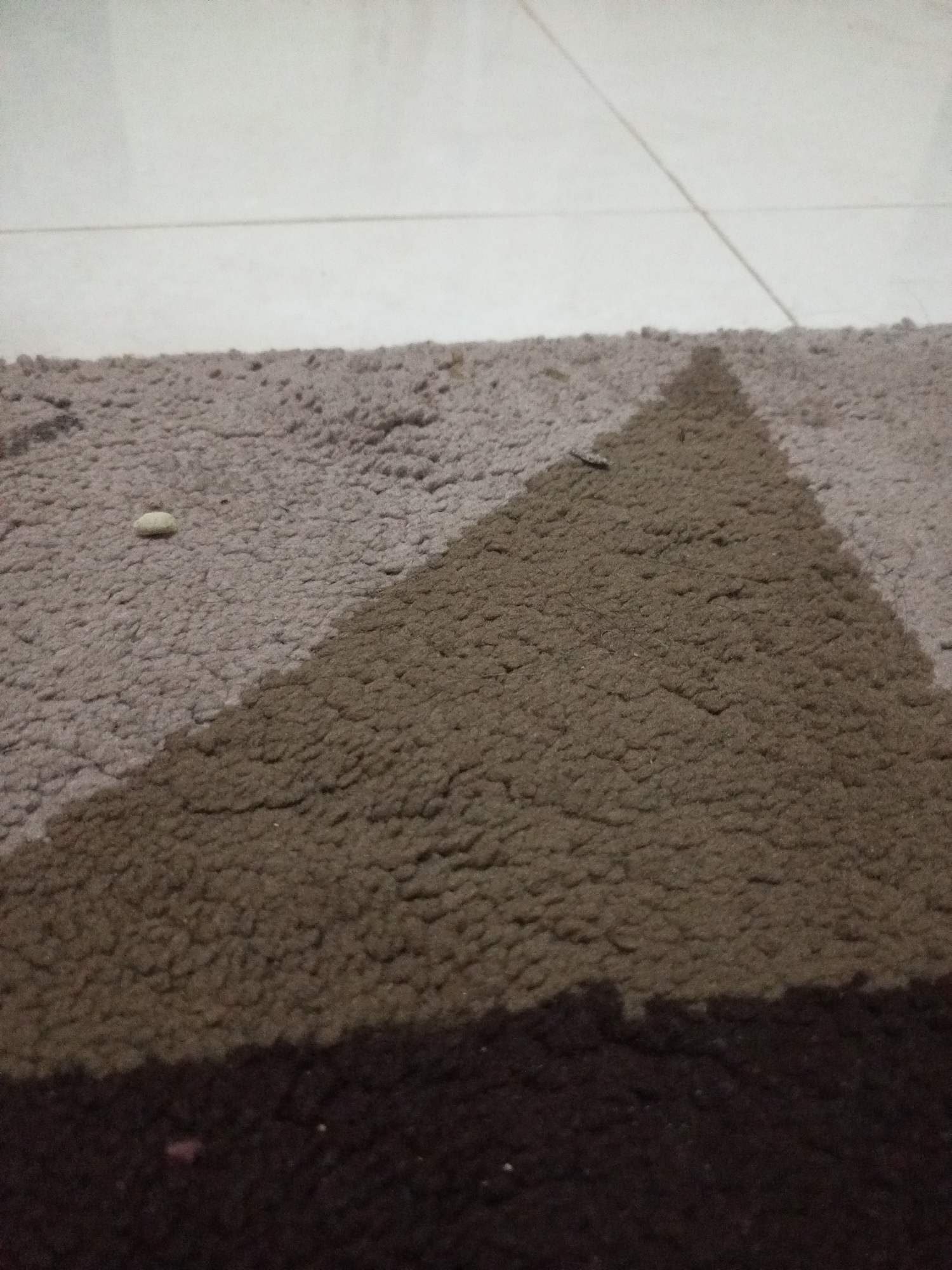 The image shows a close-up, angled view of a textured rug with a geometric pattern. The rug is predominantly brown, with a lighter grey section forming a triangular shape. There is a small, light-colored object, possibly a pebble or a piece of food, on the grey portion of the rug. In the upper portion of the image, a tiled floor is visible, with faint grout lines. The lighting suggests an indoor setting, possibly a home or a public space. The image does not provide any information that could be used to determine its location in Lhokseumawe, Indonesia, or any other specific location.