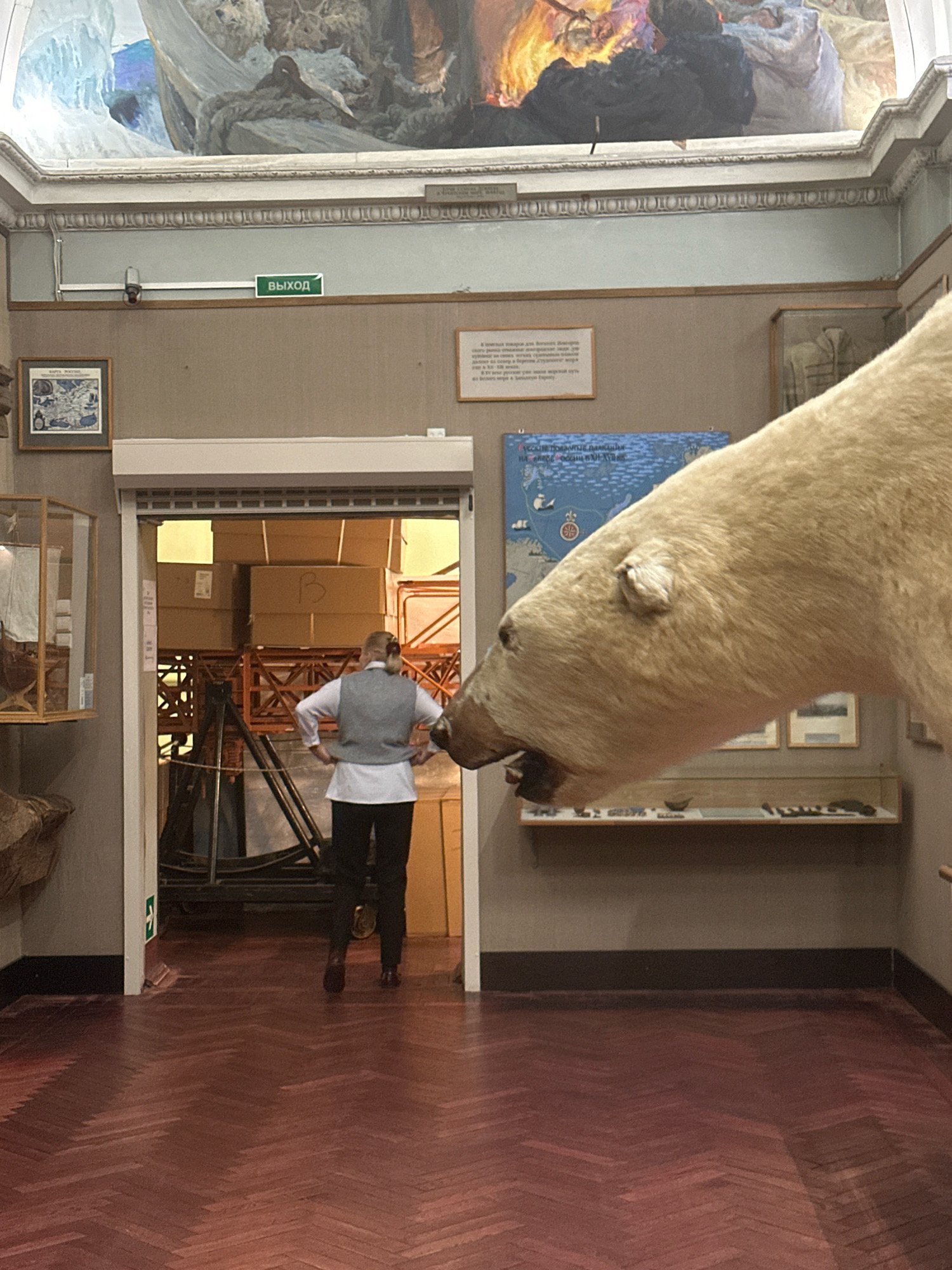 The image depicts an interior scene, likely a museum, in Saint Petersburg, Russia. In the foreground, a taxidermied polar bear's head is prominently displayed, appearing to emerge from the right side of the frame with its mouth open. The background reveals a person, dressed in a grey vest over a white shirt and black pants, standing with their back to the camera, looking into an open doorway. This doorway reveals stacks of cardboard boxes and industrial shelving, suggesting a storage or backstage area. Above the doorway, a green exit sign with white Russian text is visible. The environment features a large mural on the ceiling, depicting a historical or expedition scene with ice and fire elements. The floor is finished with a dark, reddish-brown parquet pattern. To the left of the doorway, display cases containing museum artifacts, including a model ship, are partially visible. The overall impression is a glimpse into a museum's exhibition and operational spaces.