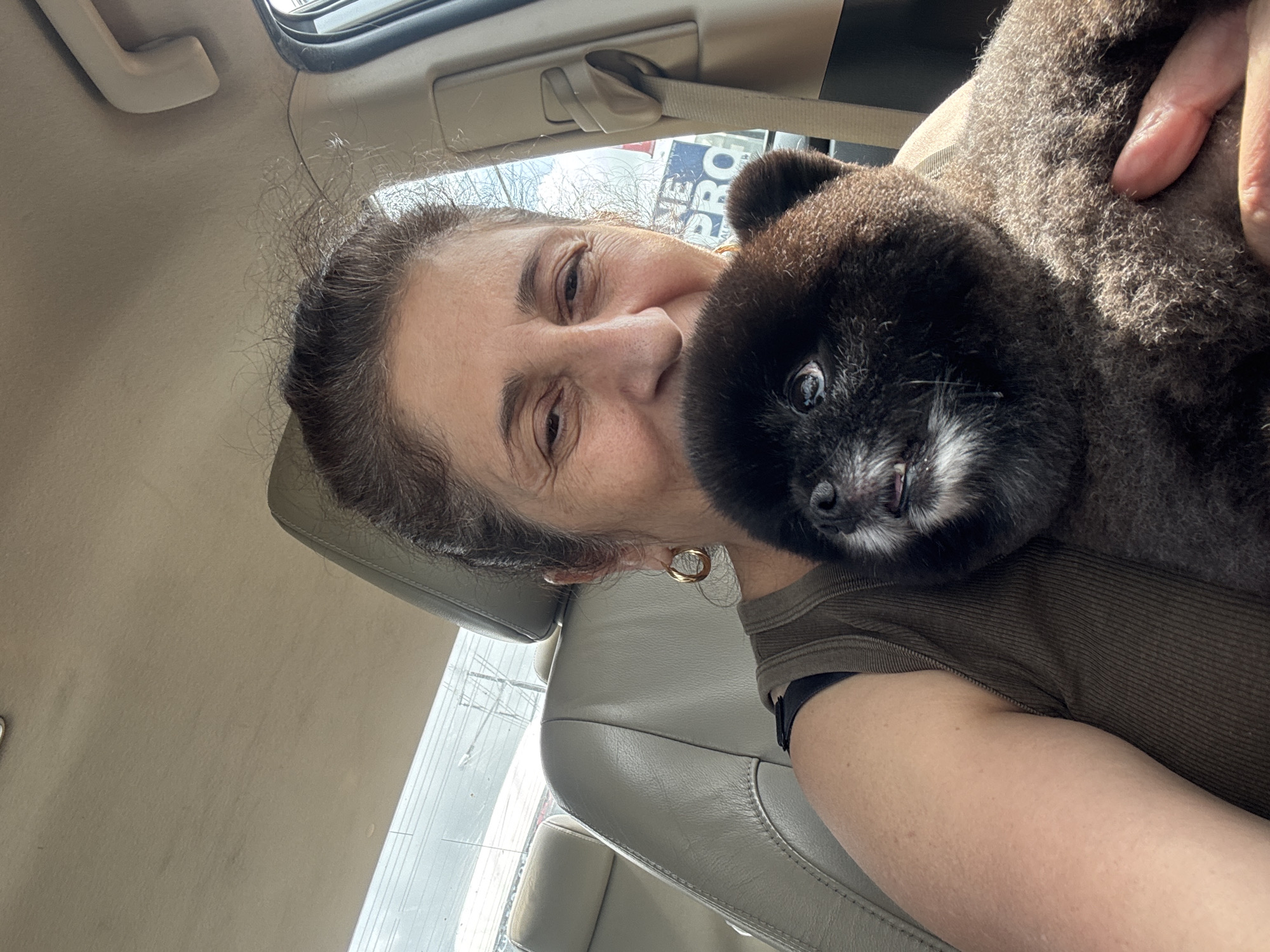 A woman is holding a black Pomeranian dog in the passenger seat of a car. The woman is looking at the camera, and the dog is looking to the left. The car appears to be parked outdoors, with a sign that reads "NE PRO" visible through the window. The location is not in Wichita, Thailand, as the image context does not suggest this geographical location.